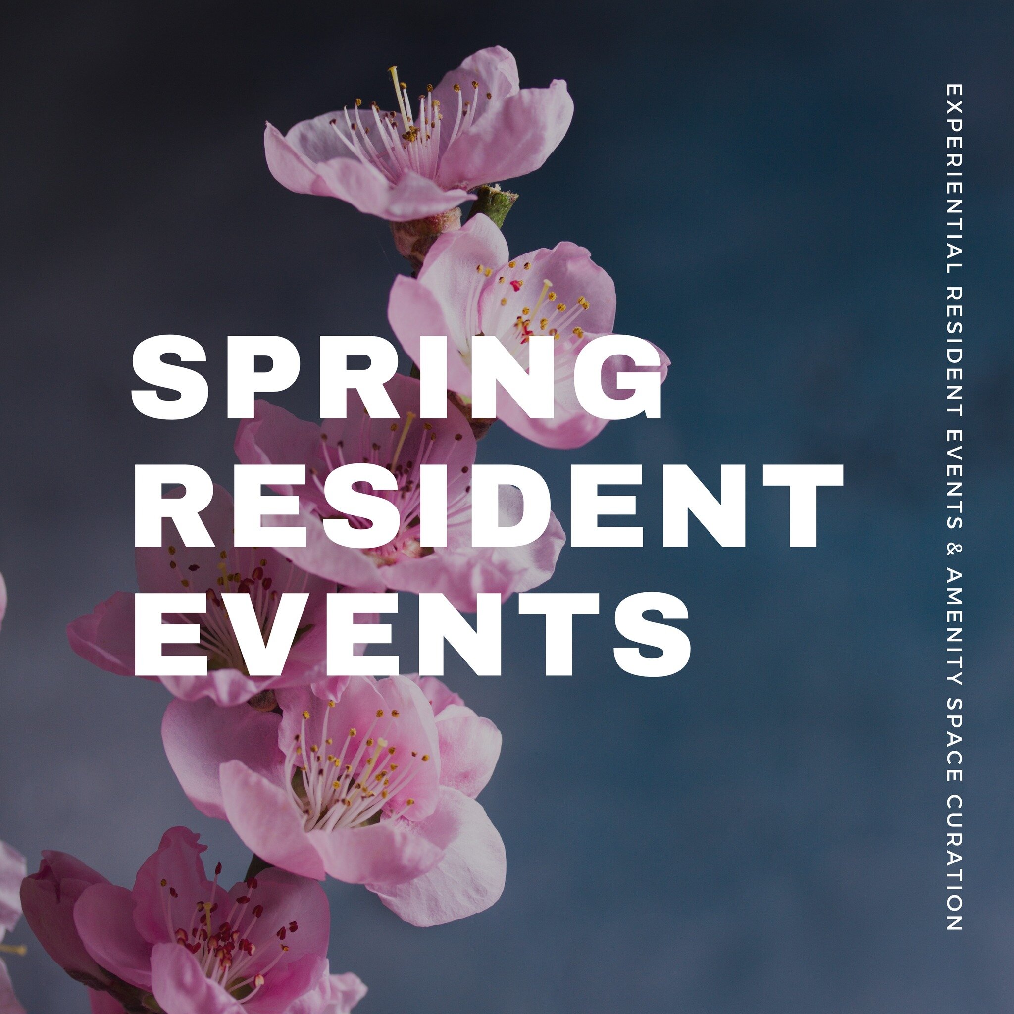 Happy first day of spring! 🌸 We have some fun events lined up for you including opening day celebrations, sake tastings, cherry blossom happy hours, game nights, terrarium workshops, and more! DMV properties, hit us up for our latest event guide.

#