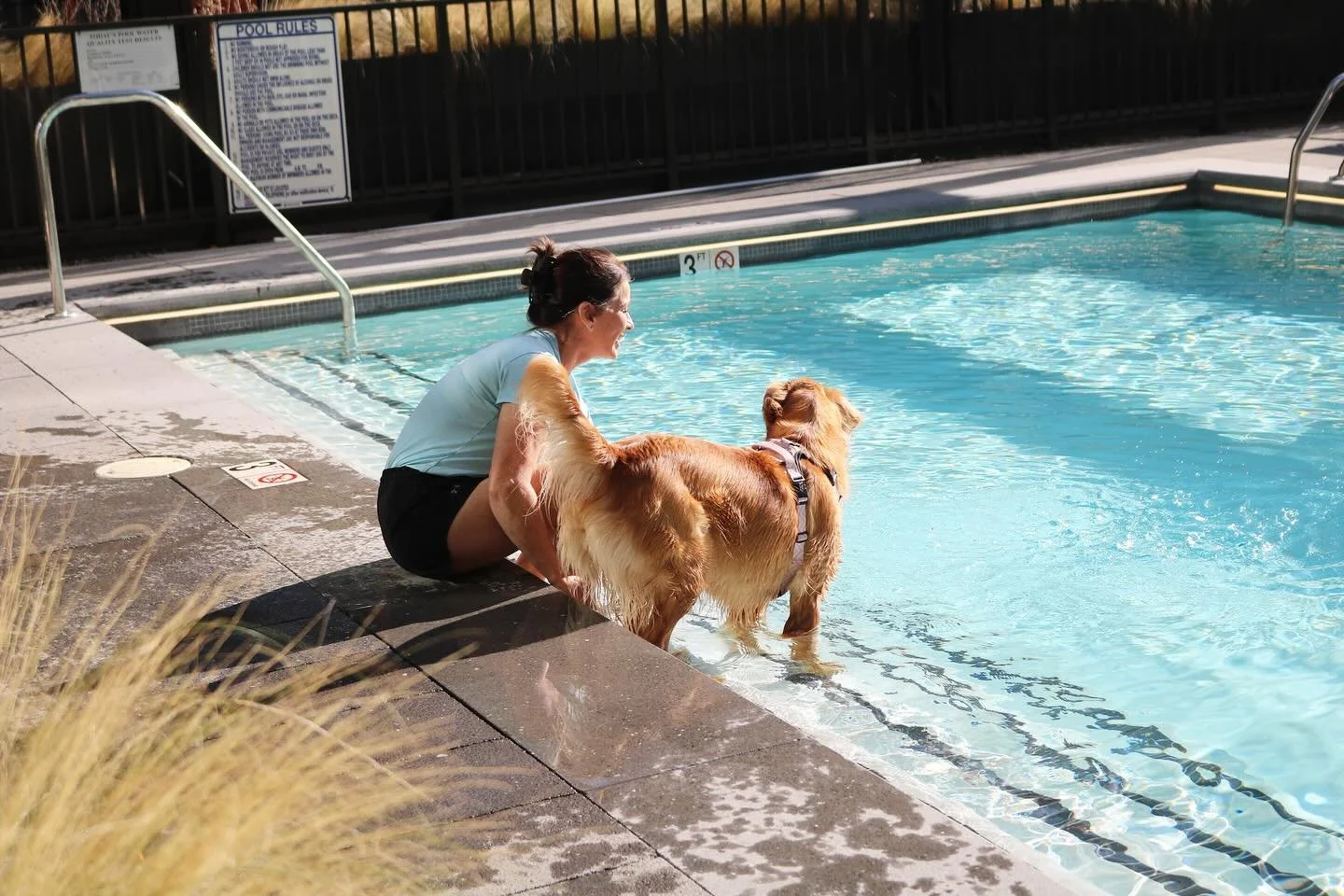 ☀️Sunshine + happy pups 🐶 = the perfect Doggie Dip🐾 From wagging tails to poolside splashes💦, every moment was pure joy😊
.
.
.
.
.
#DoggieDip #DogLife #PuppyPoolParty #HappyTails #DogEvent #ResidentEvents #CommunityLiving #resessential #washingto