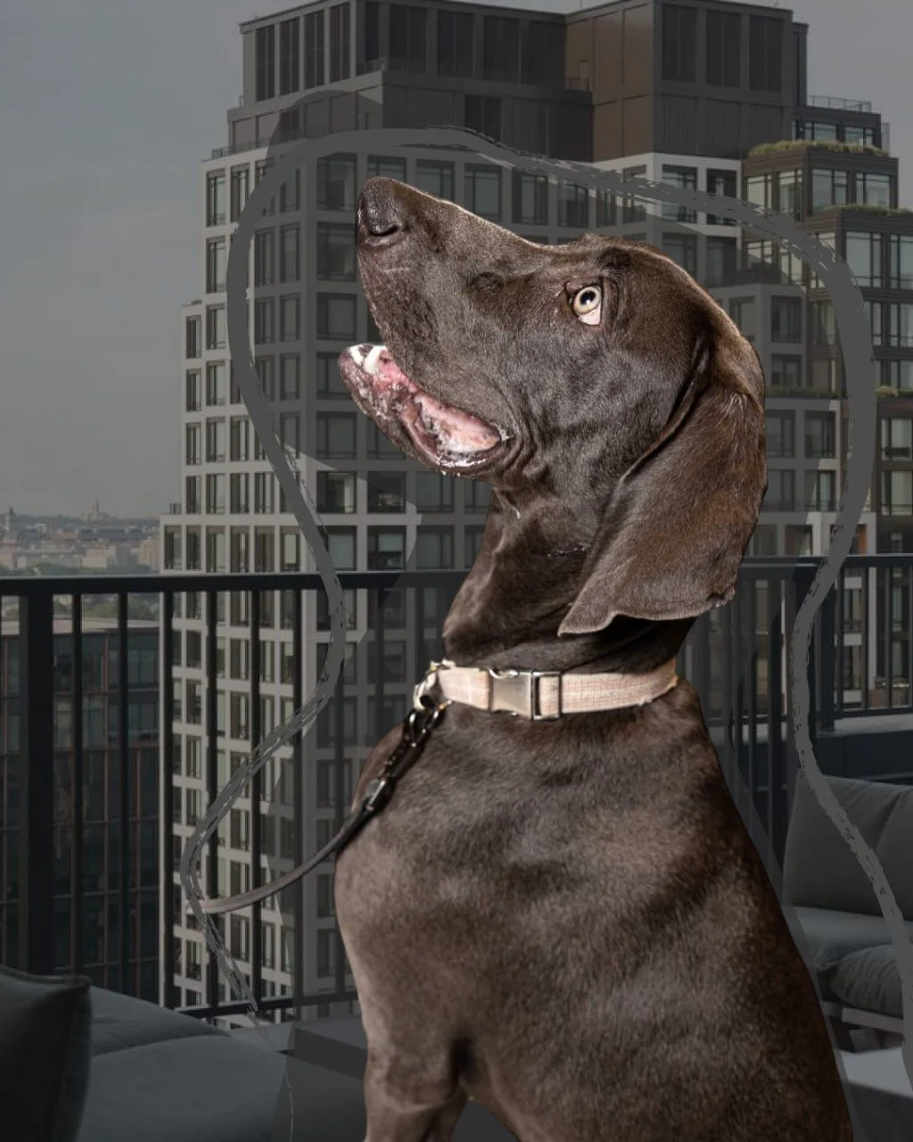 Our best dressed guests weren&rsquo;t residents 🐾 

Pet Photo Day at the building and it was exactly what you&rsquo;d hope for. A real photographer, a treat station that got taken seriously, and four-legged neighbors finally getting the attention th