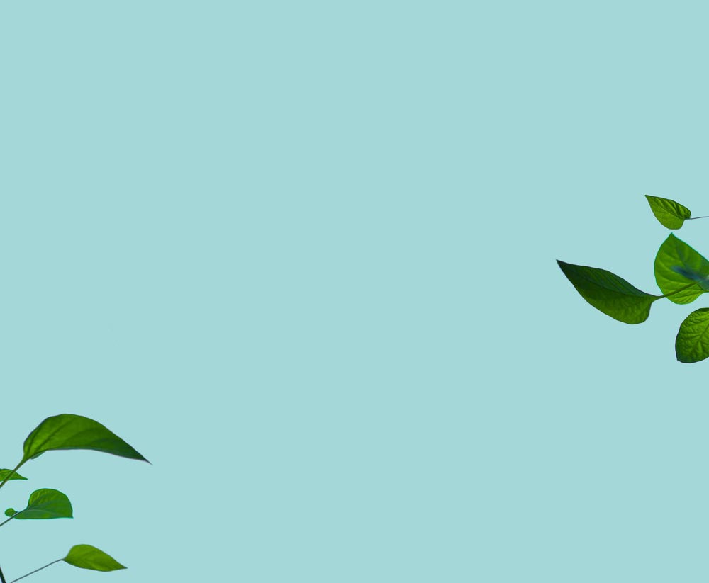 hero-banners_welcome_4.jpg