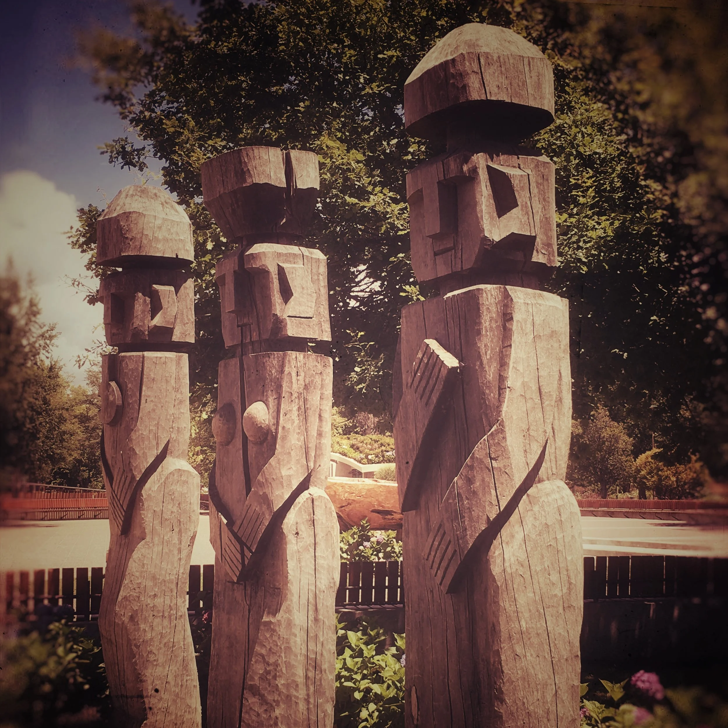 chemamulles in plaza pucon