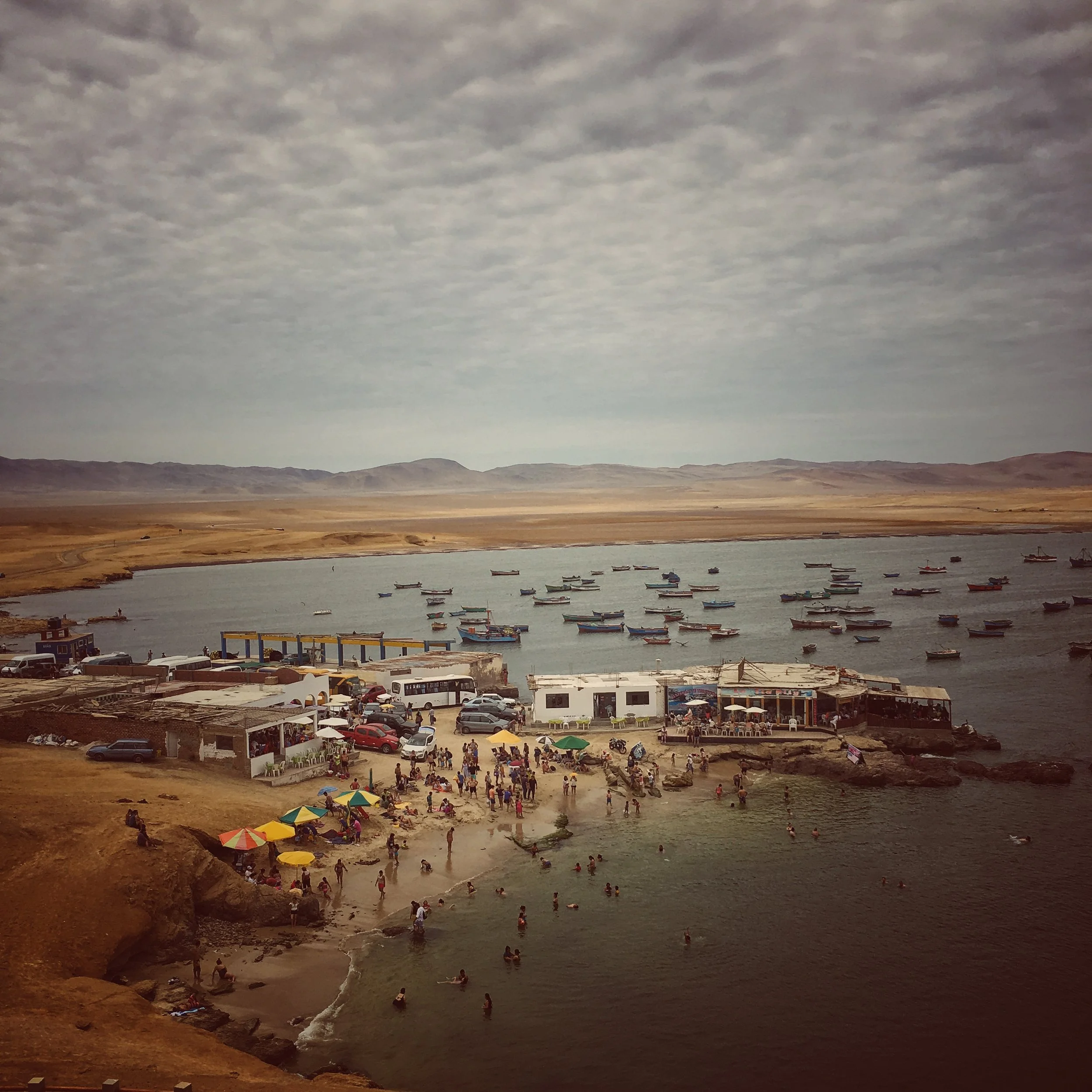 sunday arvo beach & ceviche : reserva nacional de paracas