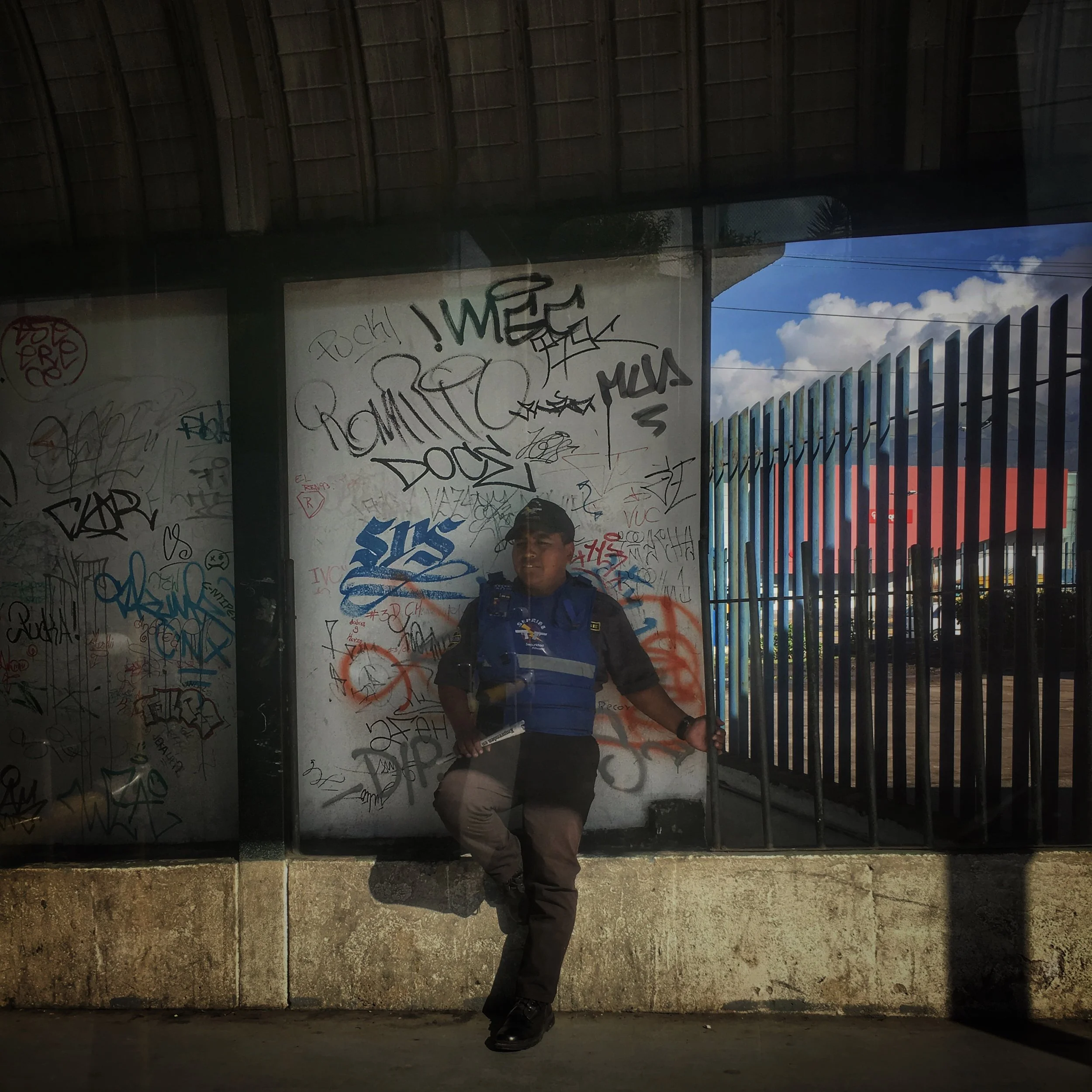 as best I could tell - from the bus - guarding a torte vendor...