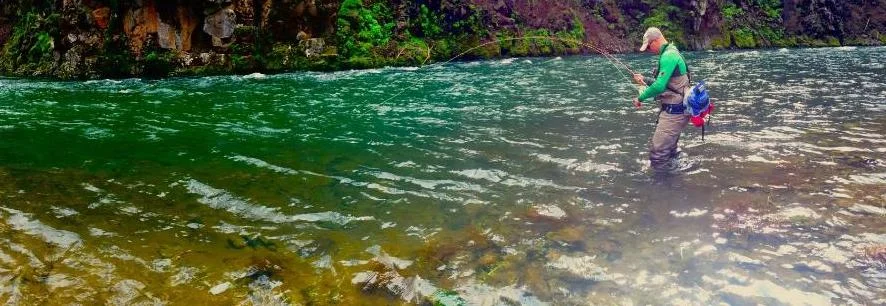 STEELHEAD ON FLY