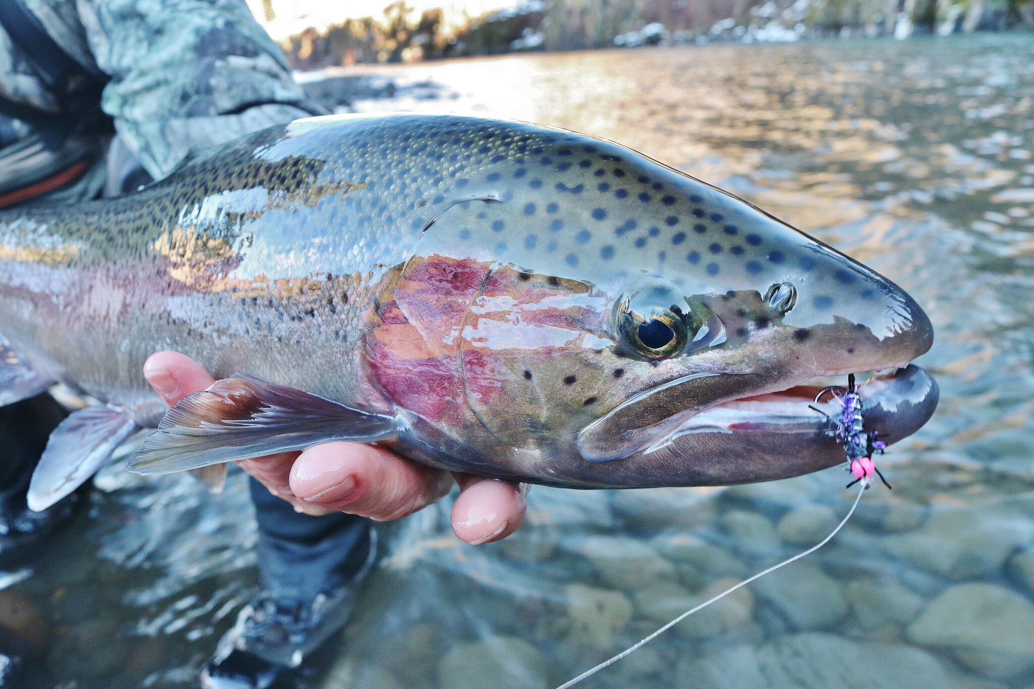 WINTER ON THE GRANDE RONDE