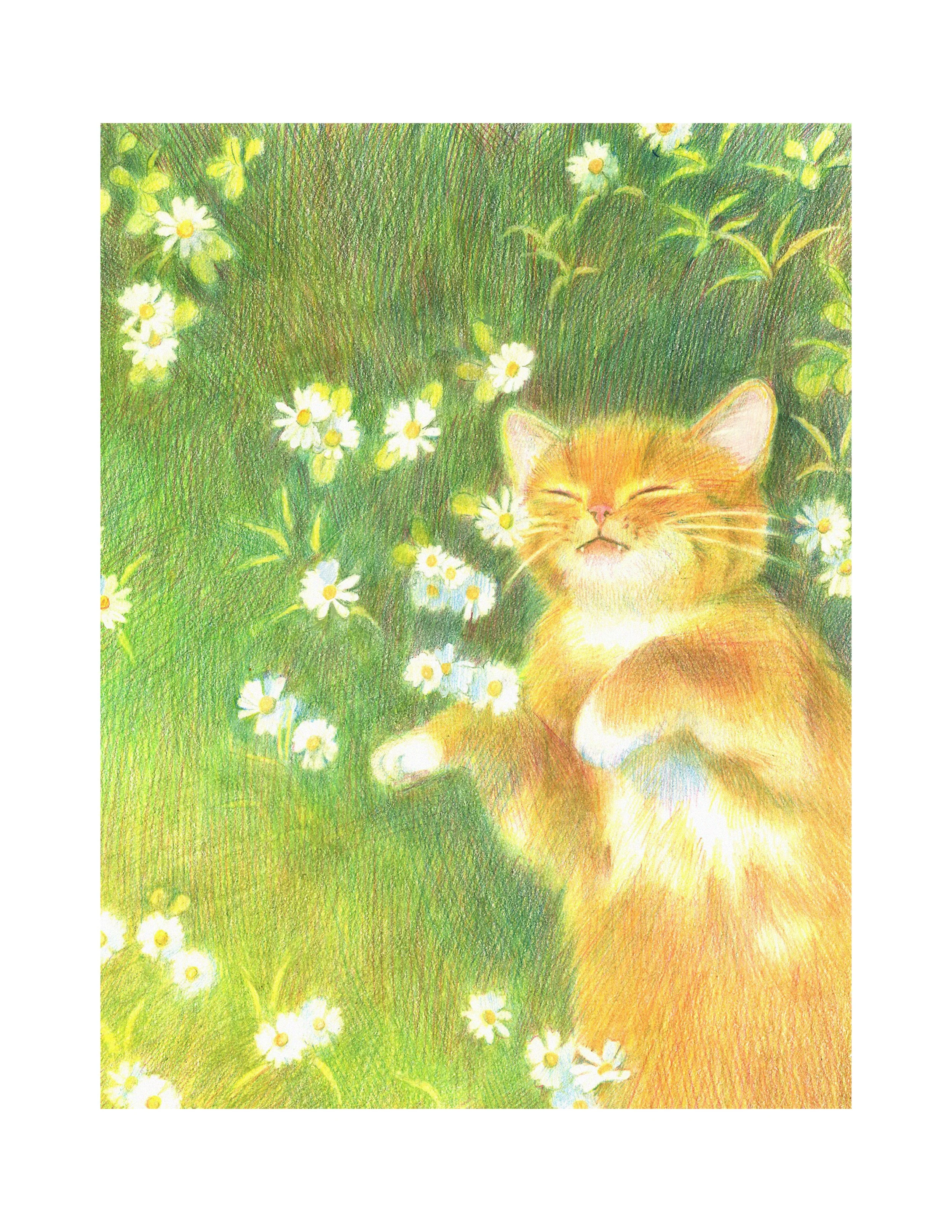 Slumber in Spring bloom  - Original Colored Pencil Artwork