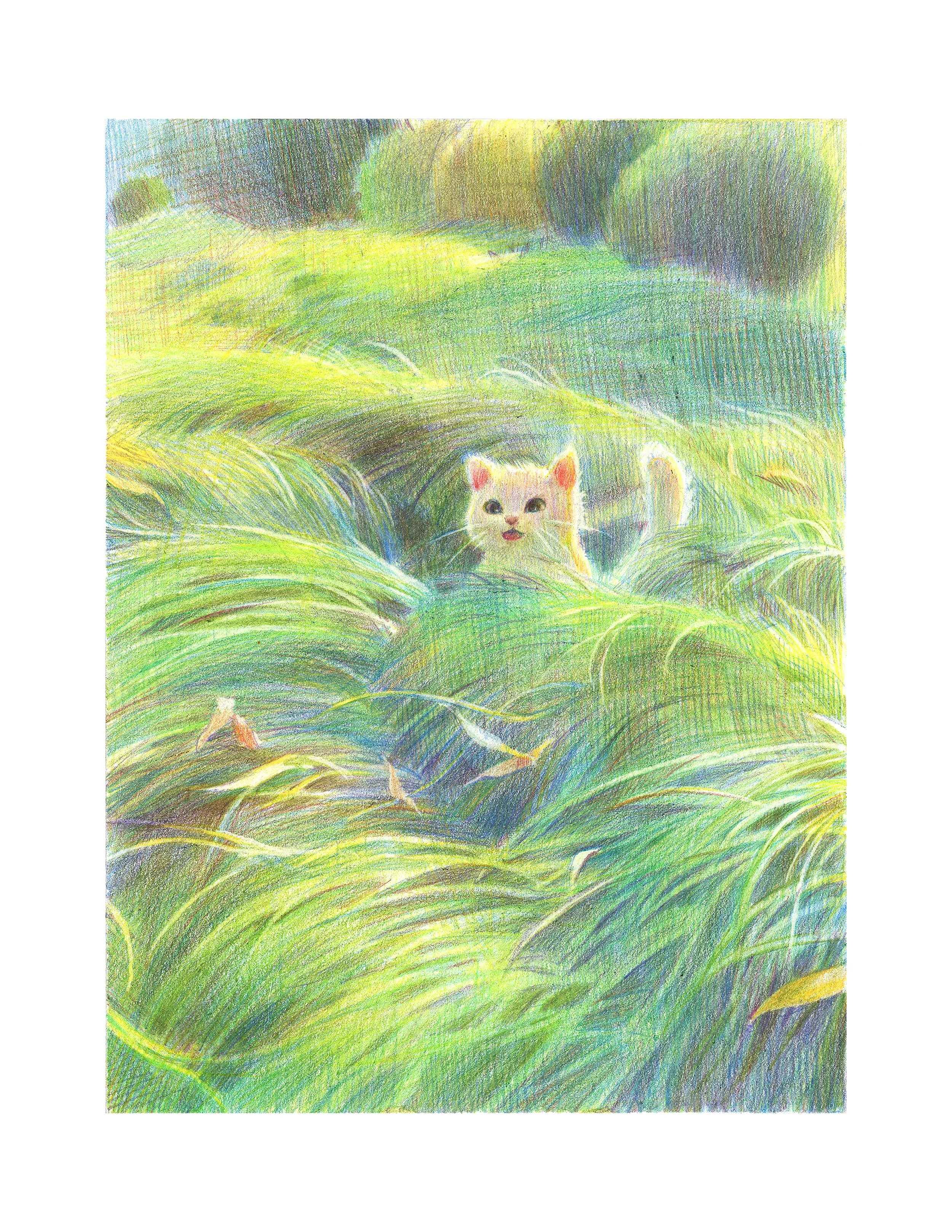 Catch Me If You Can - Original Colored Pencil Artwork