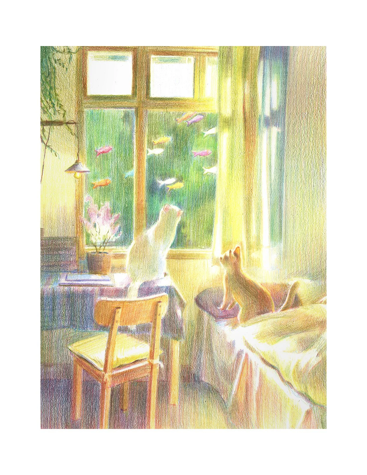 Fish Gazing - Original Colored Pencil Artwork