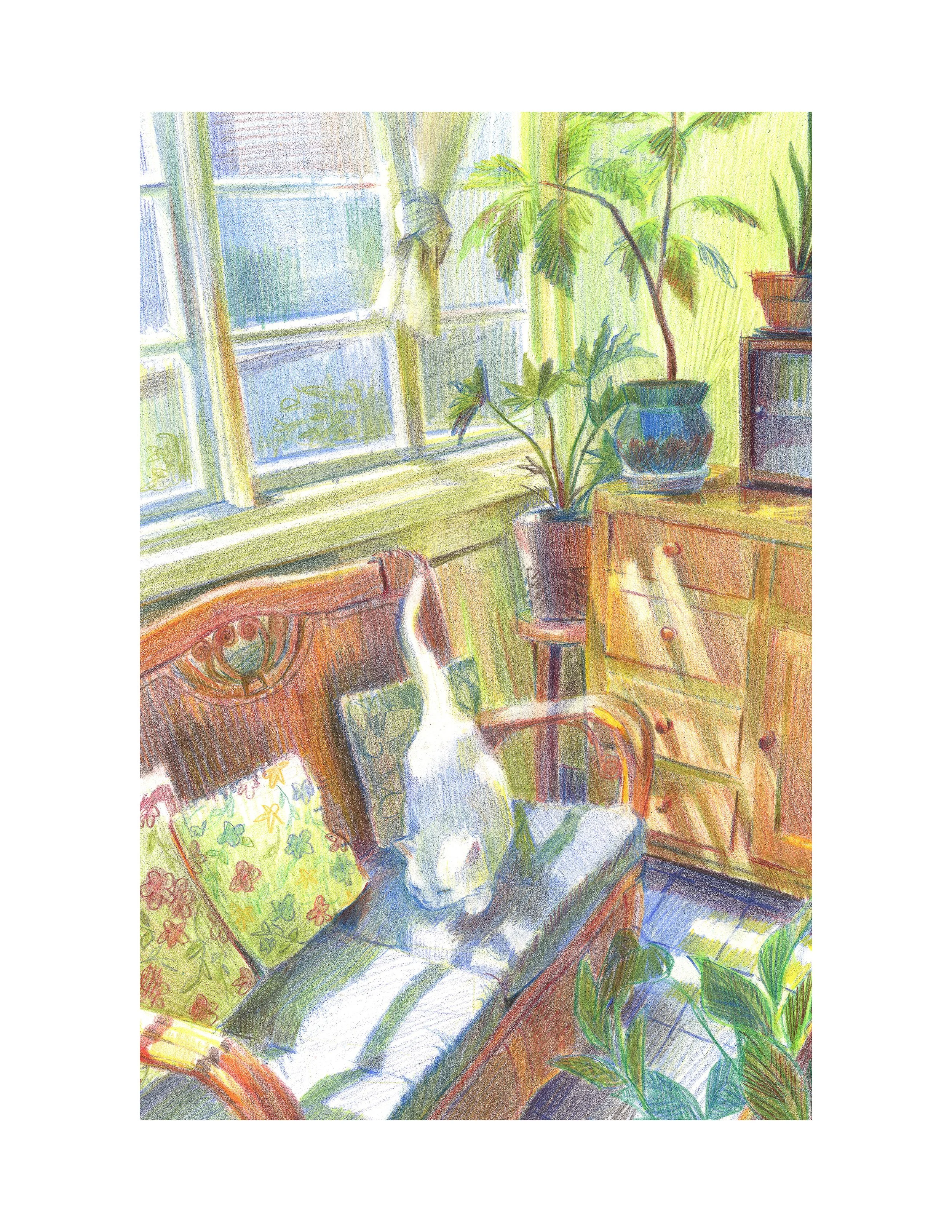 Morning Sun Bath  - Original Colored Pencil Artwork