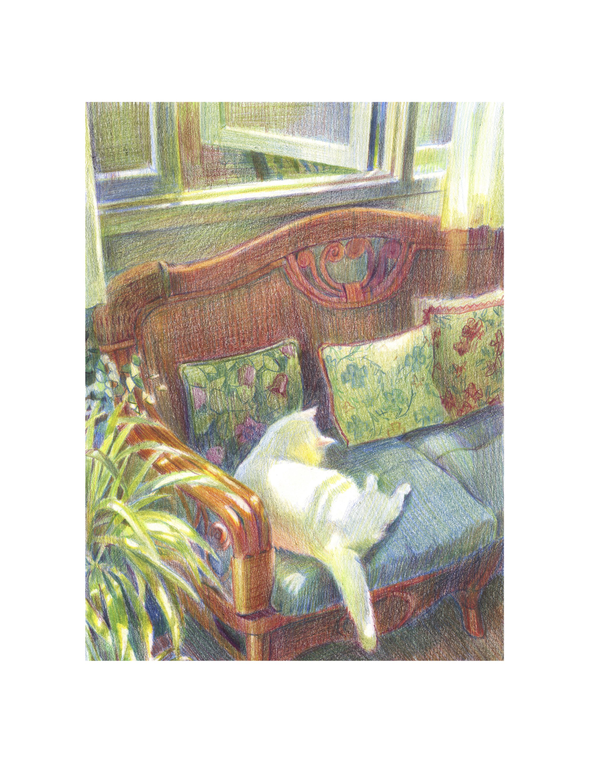 LazyDozy copy 2.jpg