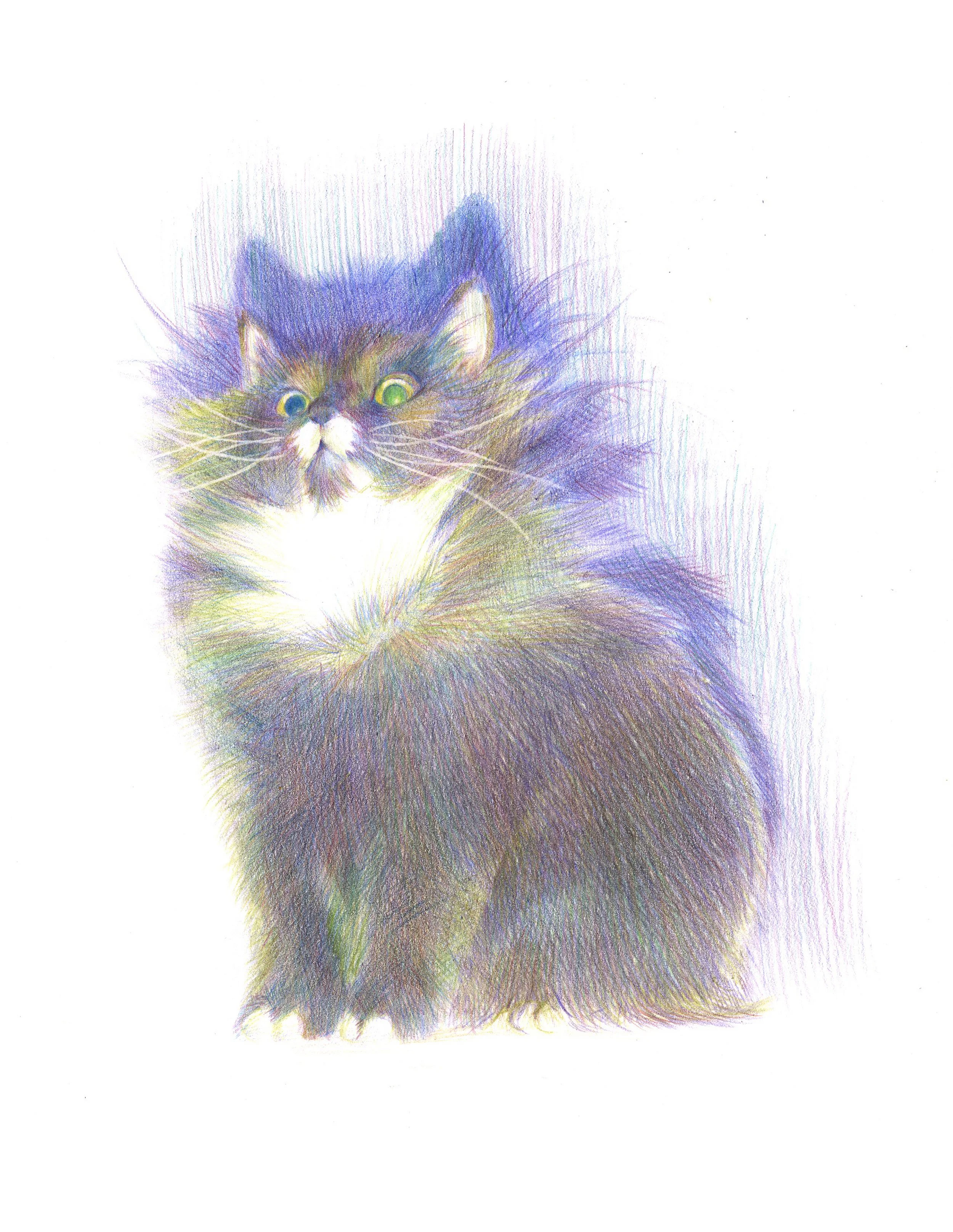 Knee,Human! - Original Colored Pencil Artwork