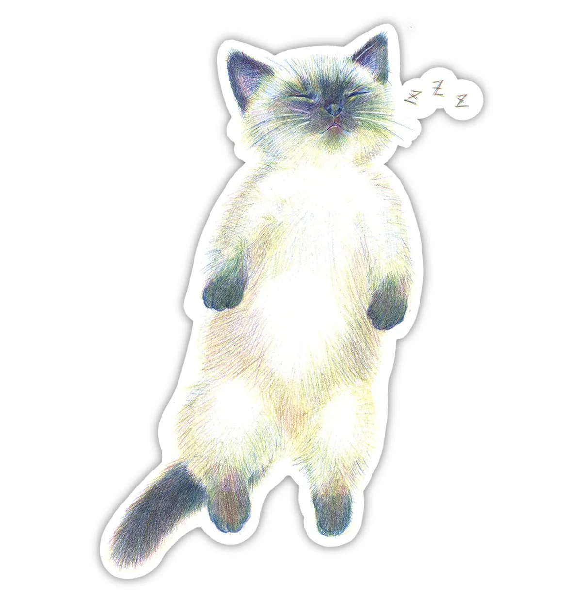 Sleepy cat copy.jpg