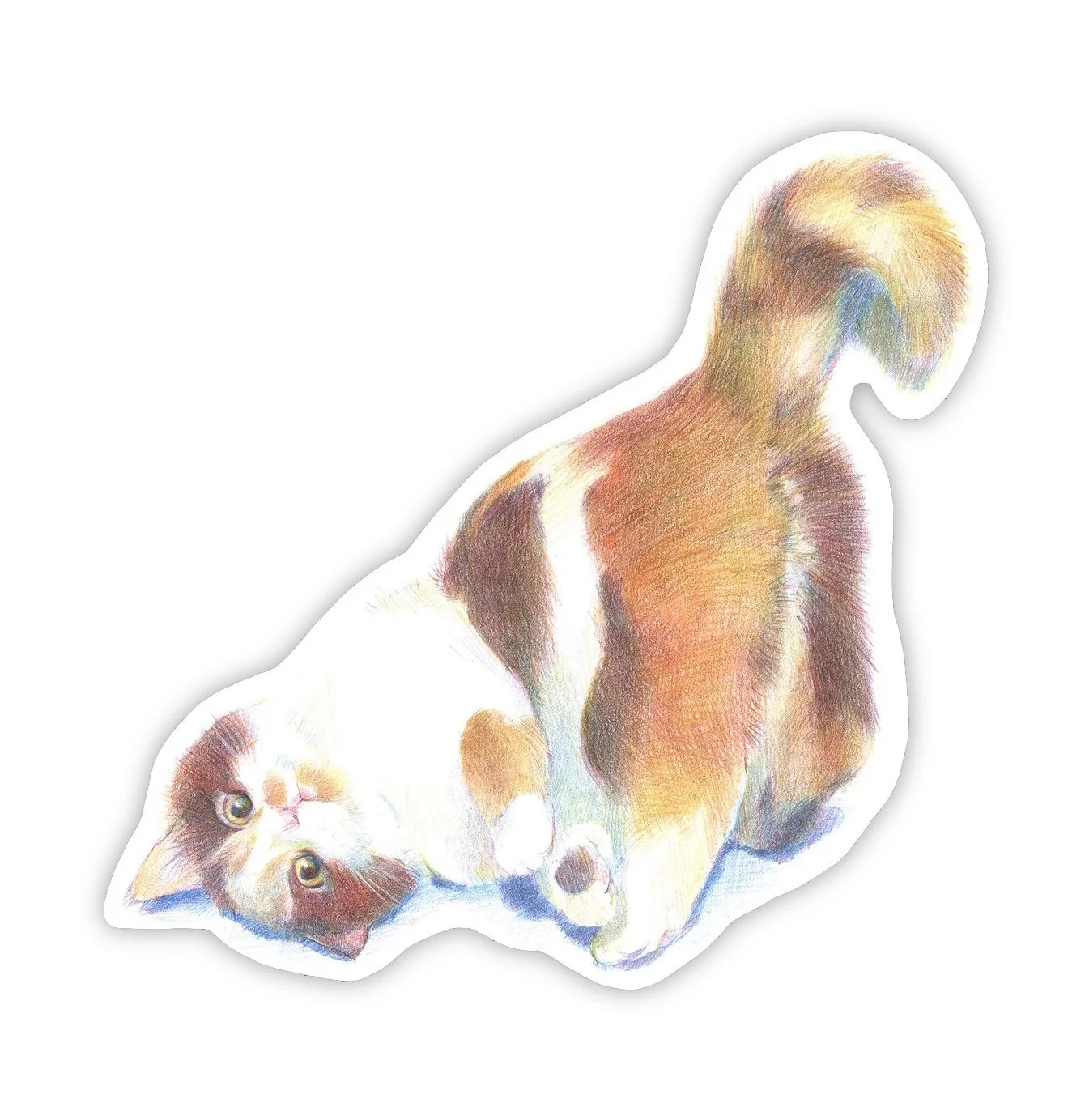 Play With Me Cat Sticker