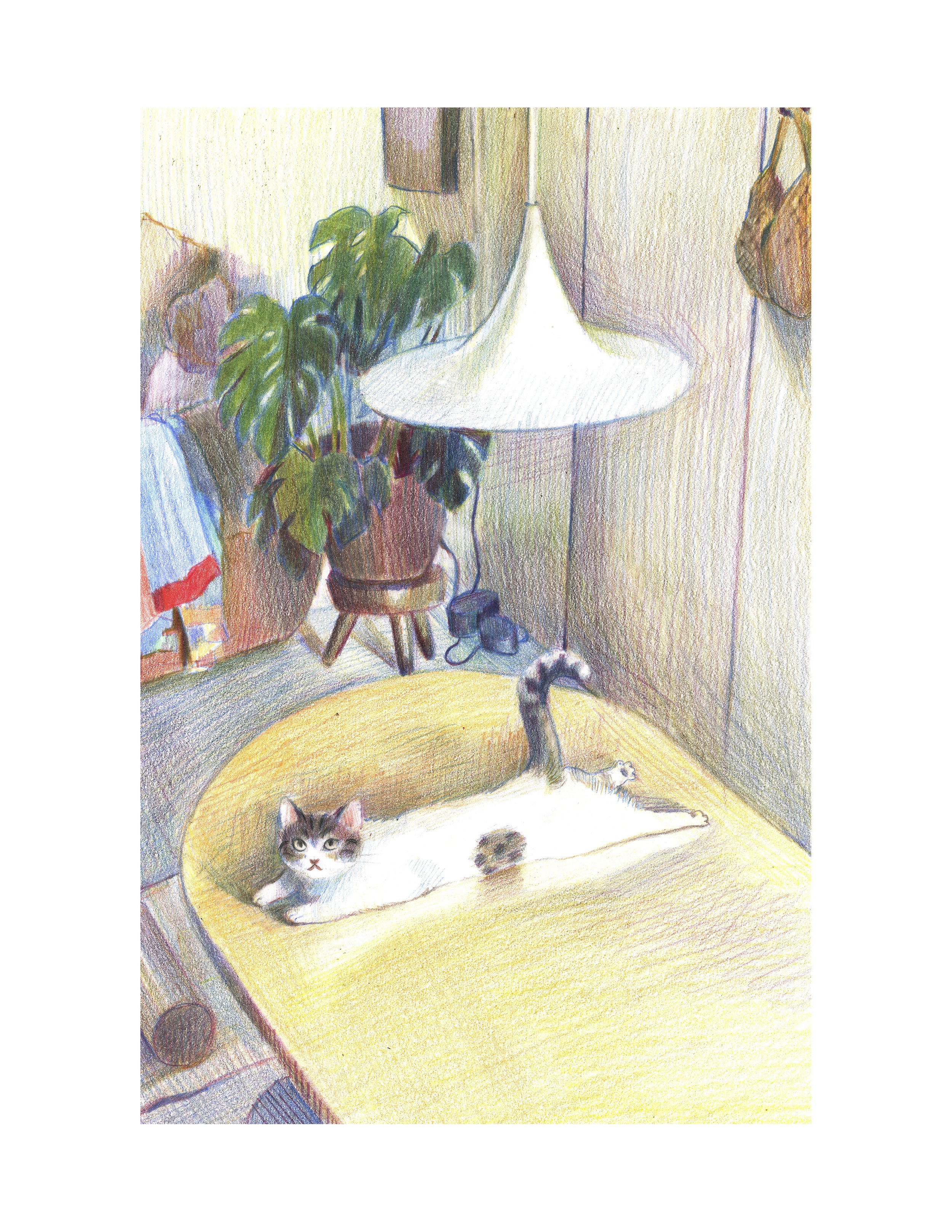 Table Stetch.jpg