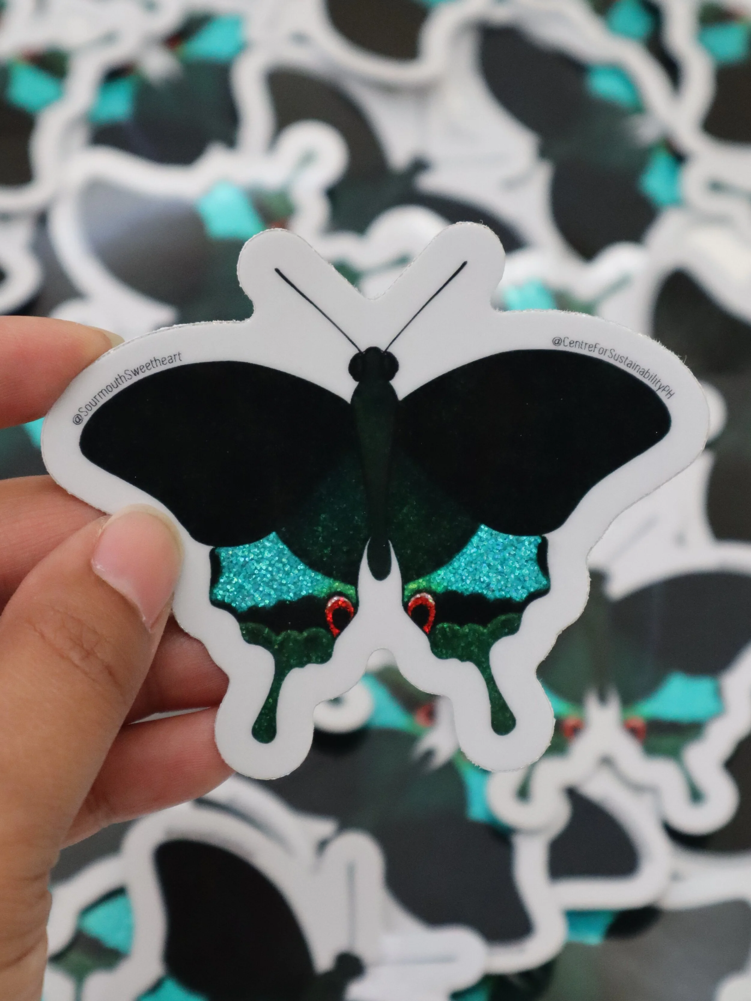 Papilio Male.jpg