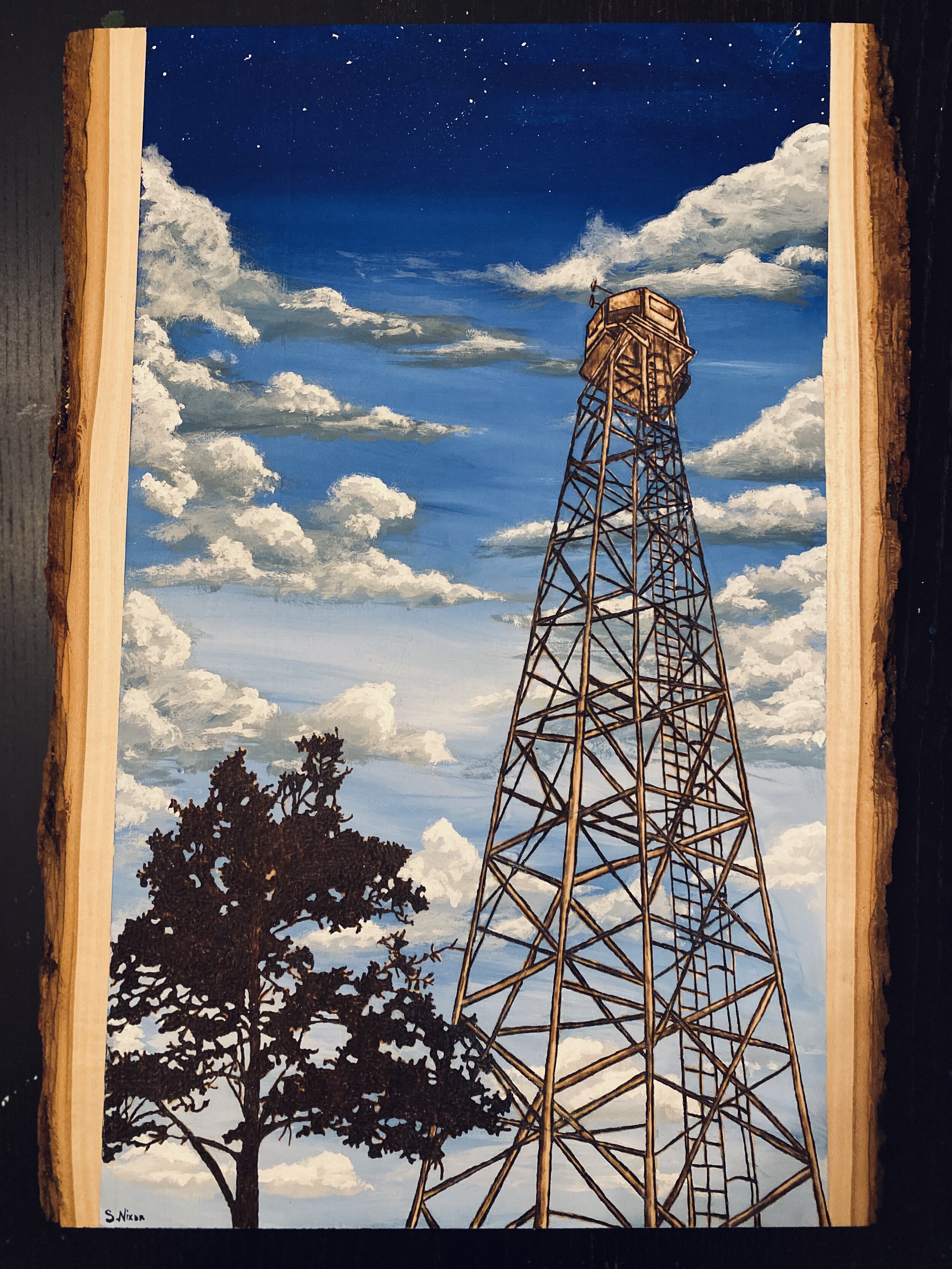 Fire Tower in the Sky (Copy)