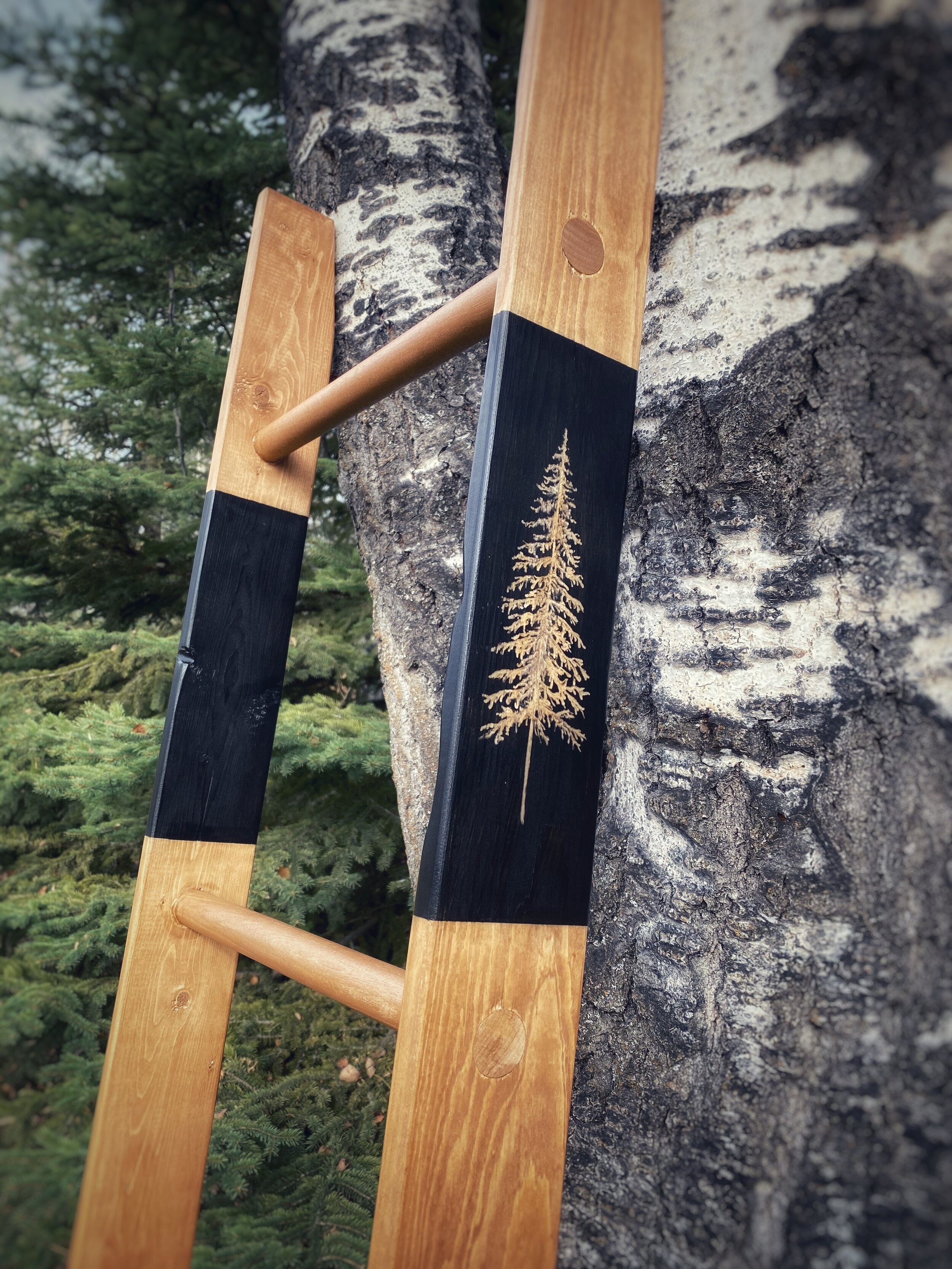 Conifer Blanket Ladder (Copy)