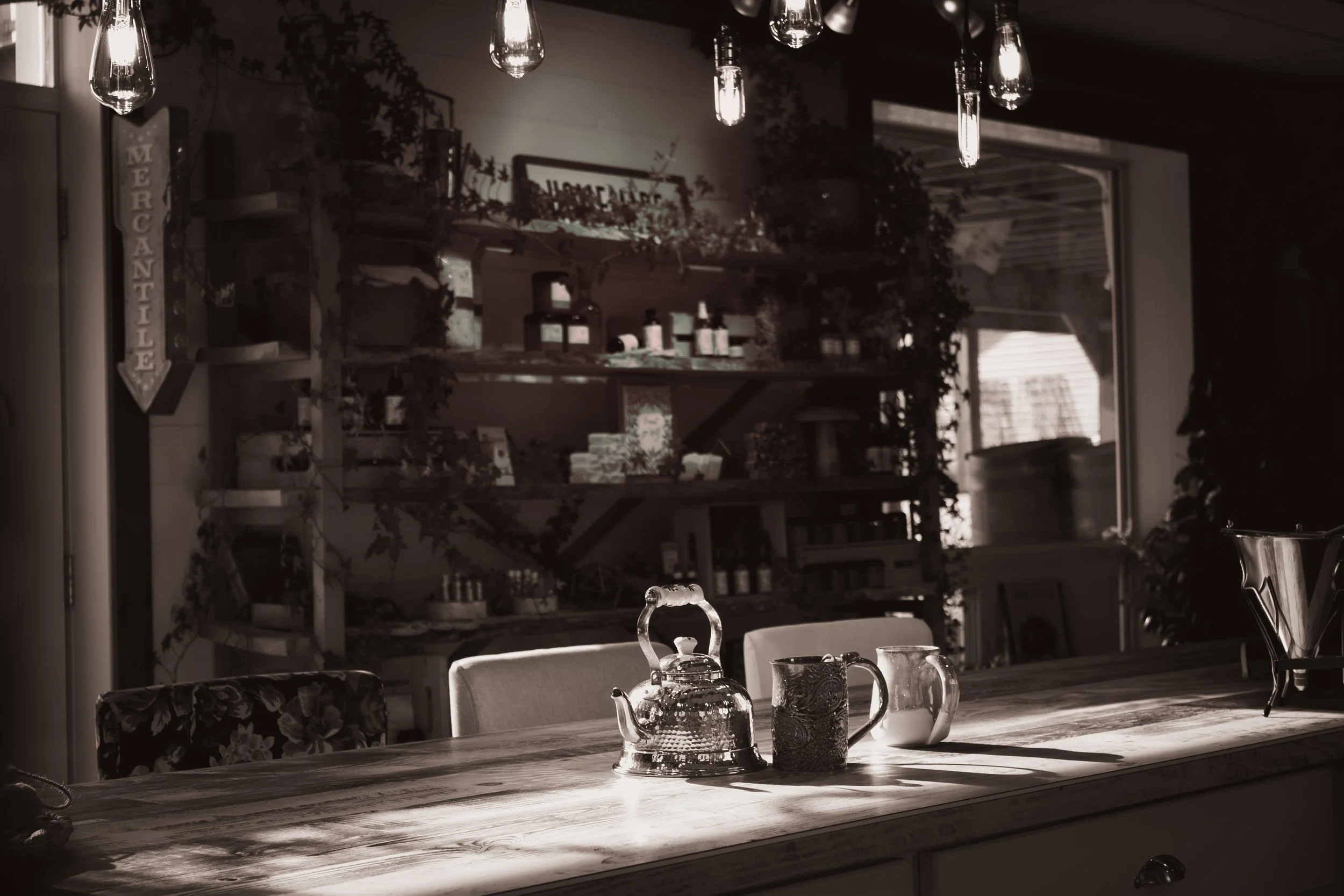 tea kettle and two mugs sitting on a countertop with sunlight shining across them, the background shows items on a vine covered wood shelf