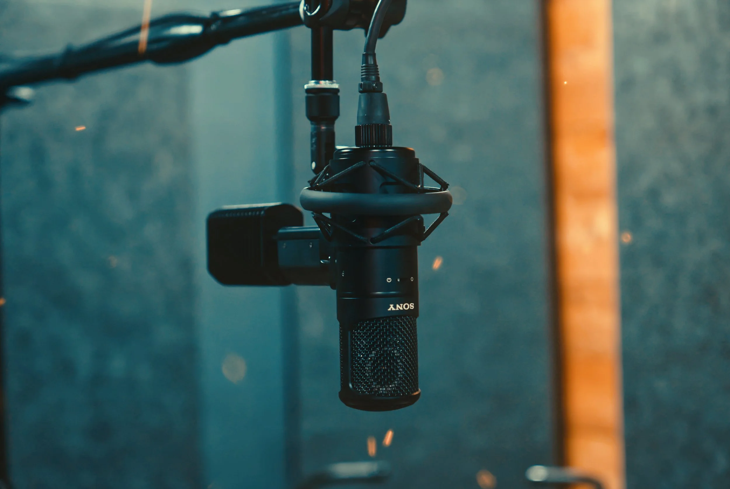 SONY C800G Edited.jpg