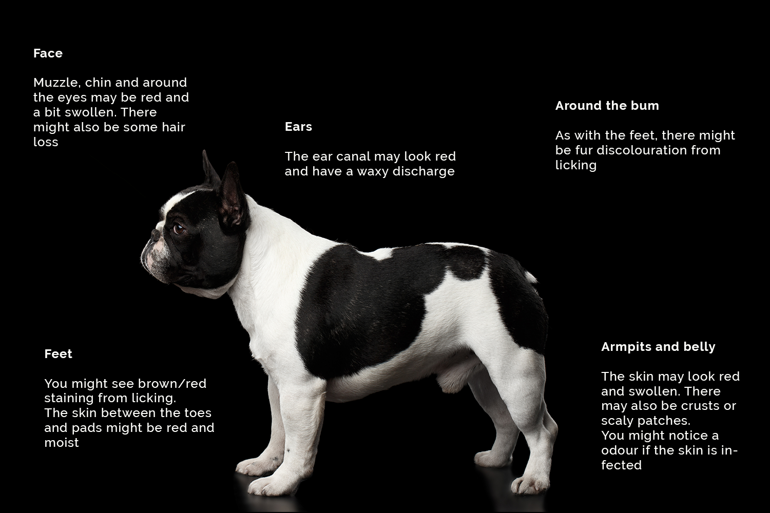 The areas of skin that commonly show signs of atopy due to having a defective barrier