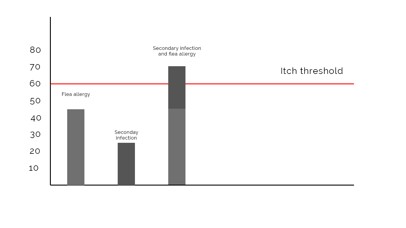 Itch threshold 2.png