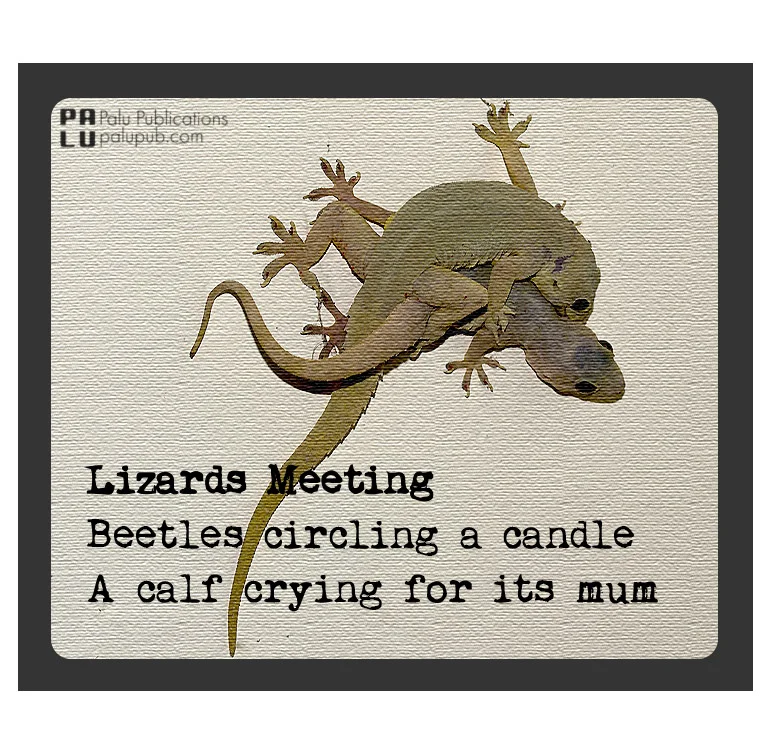 Lizards Meeting