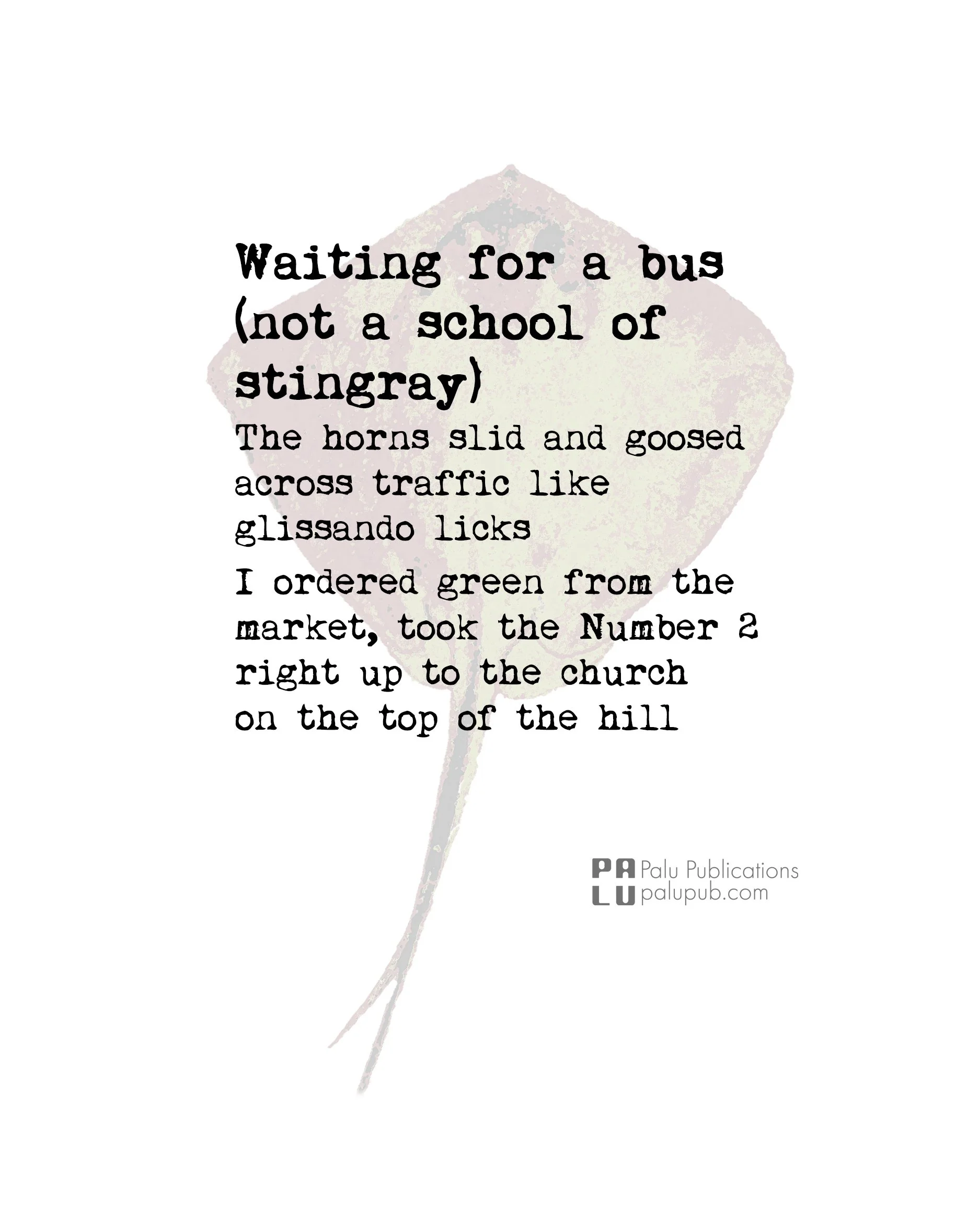 Waiting for a bus (not a school of stingray)