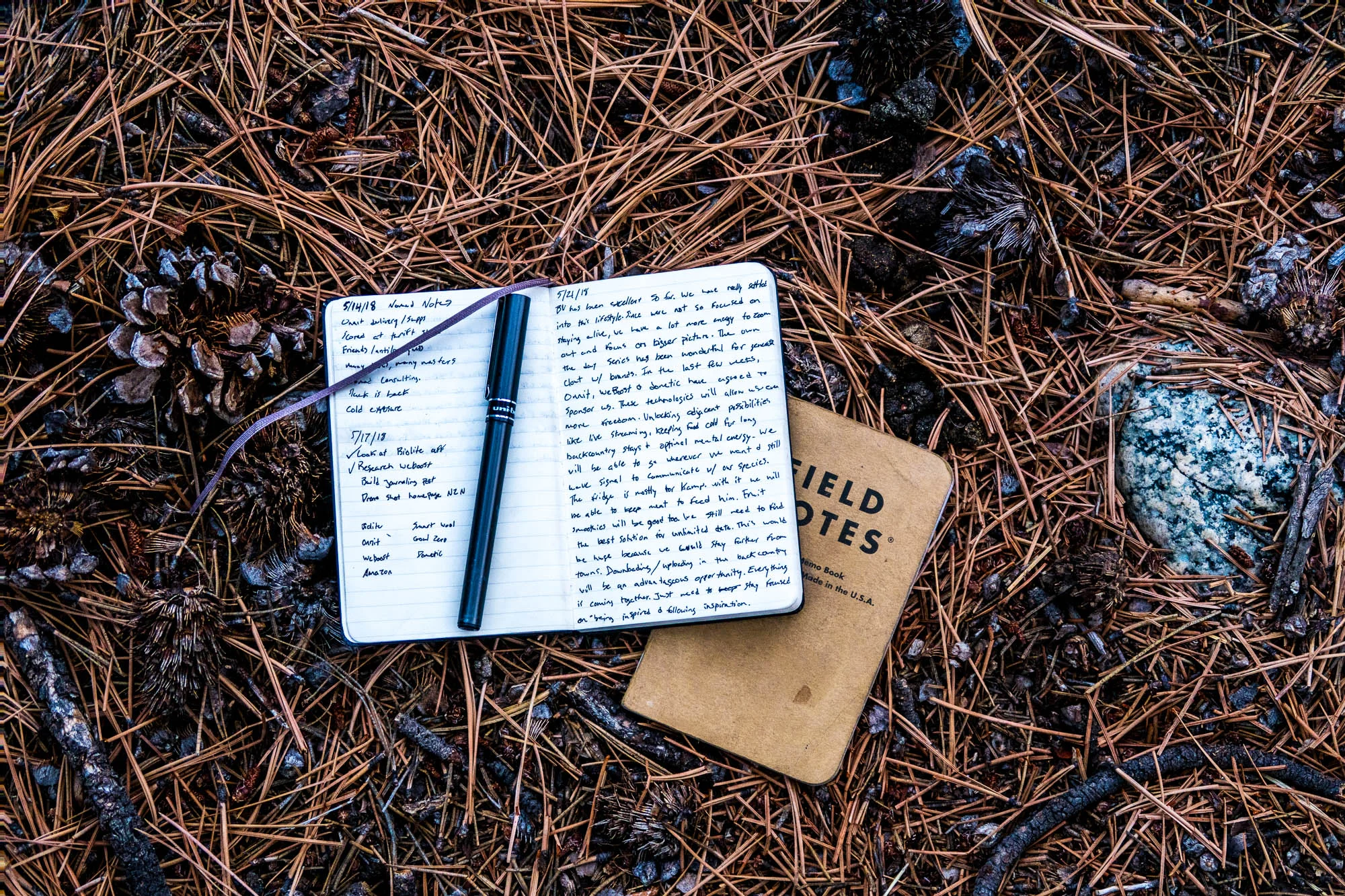 journal entry.jpg
