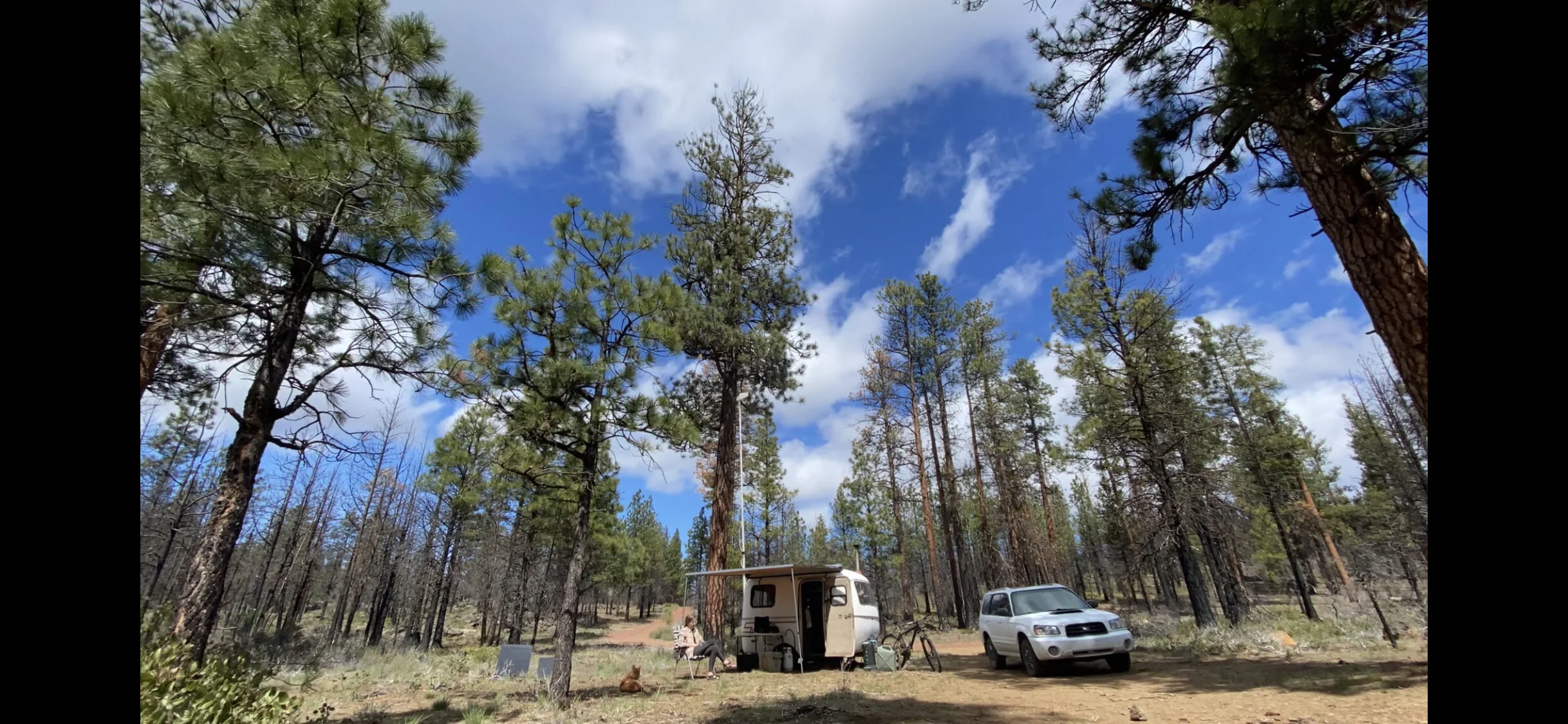 #15 | Simple Solutions