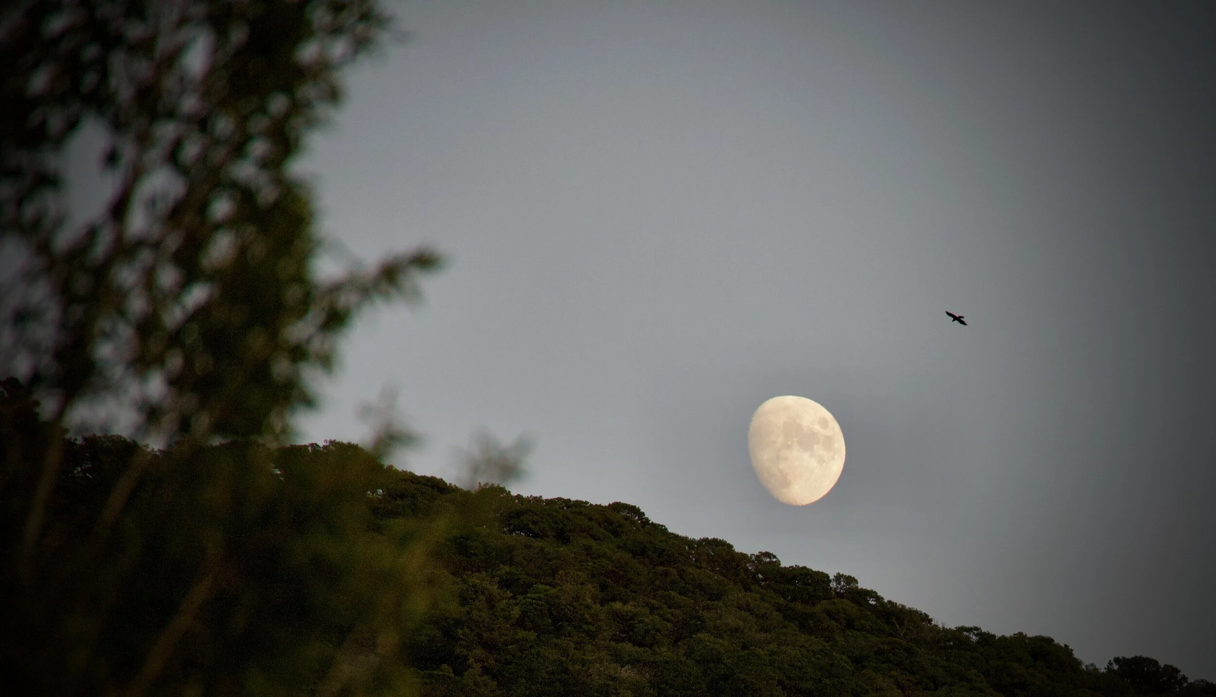 #20 | We have a plan! E&B Update