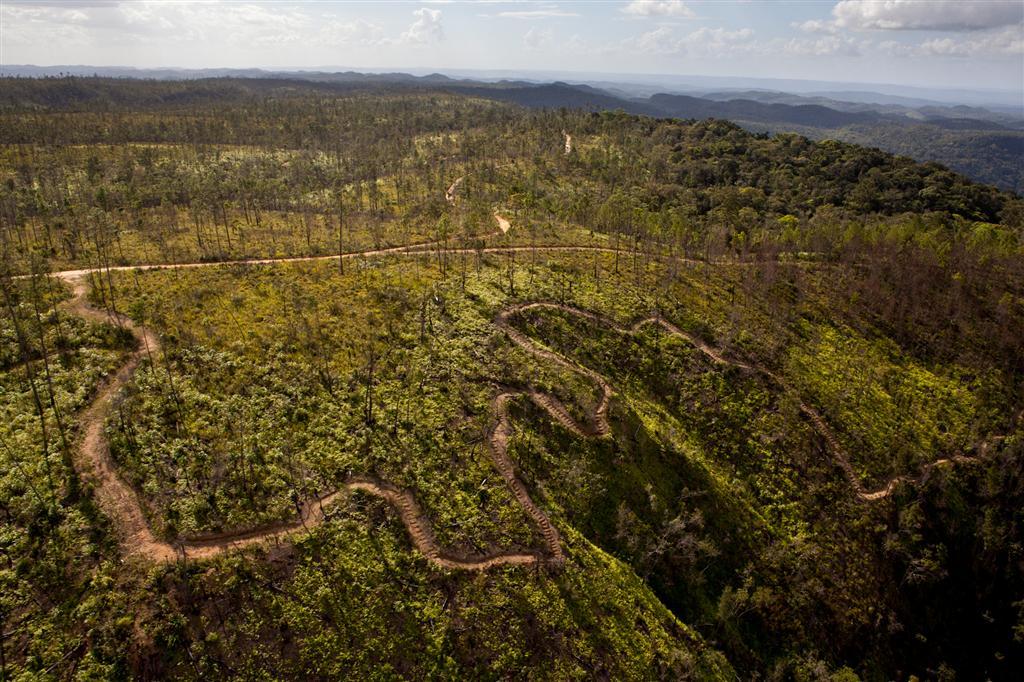 Pine Ridge Forest Reserve 1 (Large).jpg