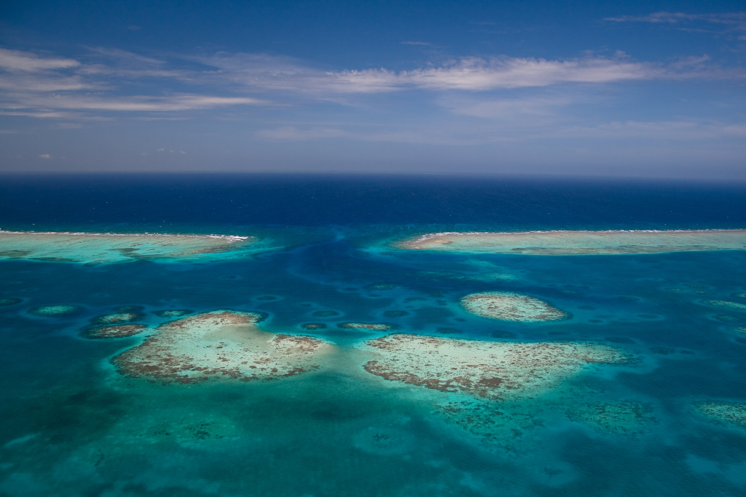 Ambergris Caye & Reef