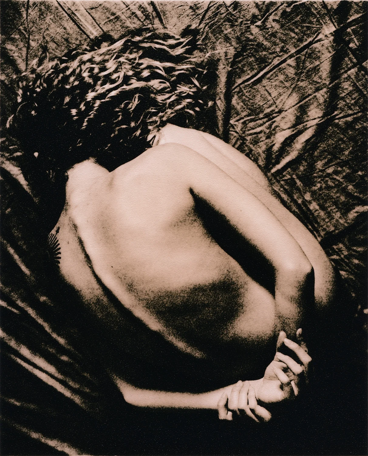 lee_fisher_rocio_04_07.jpg