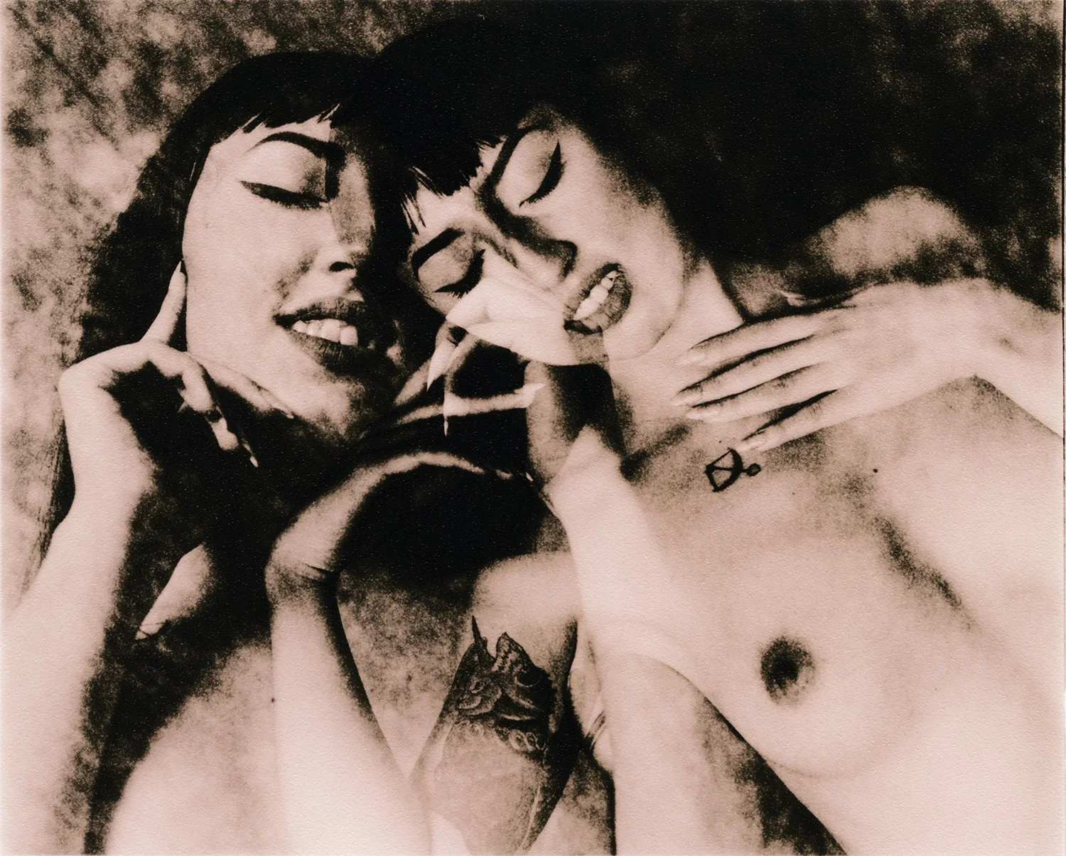 lee_fisher_tessa_04_02.jpg