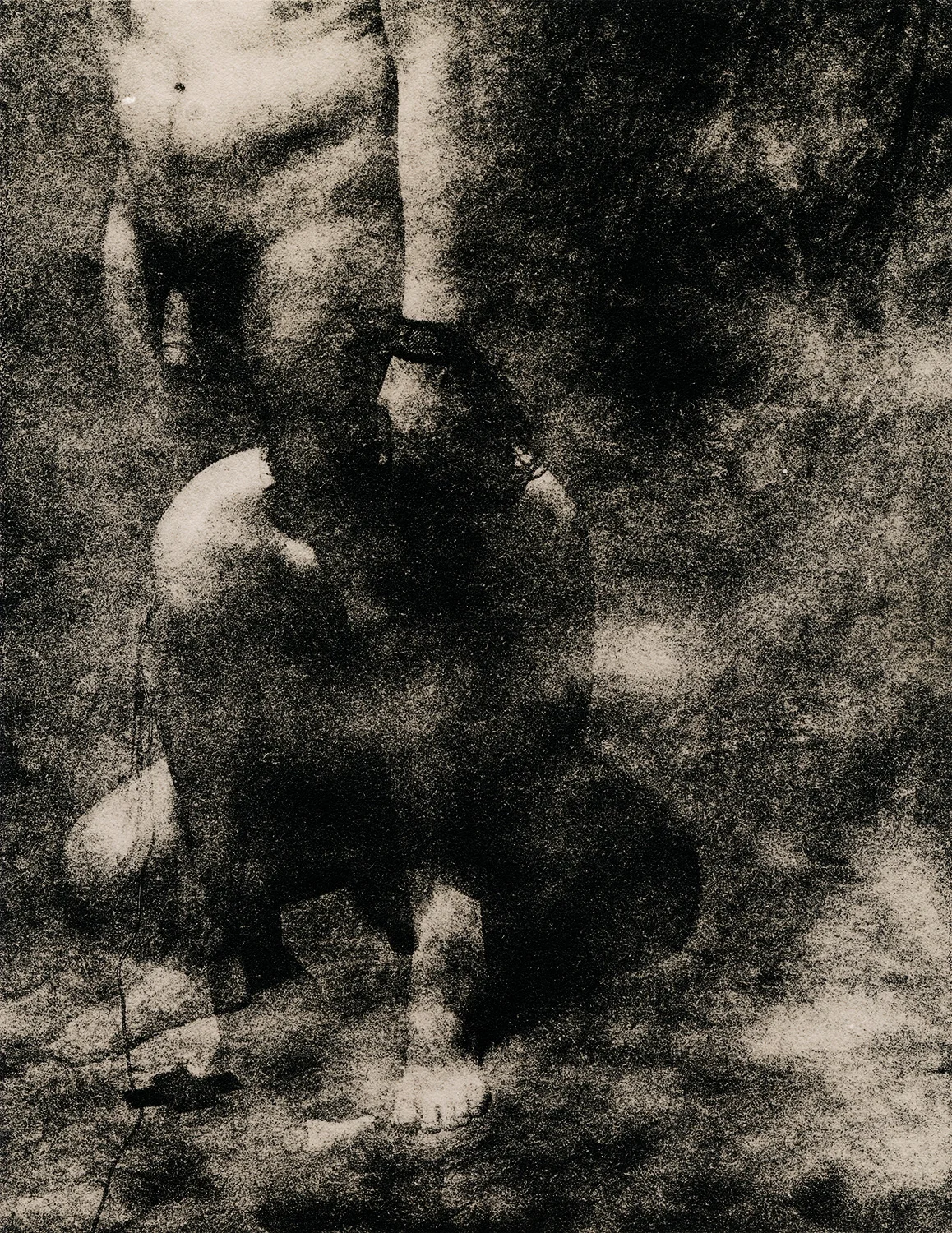 lee_fisher_draco_dominus_01_08.jpg