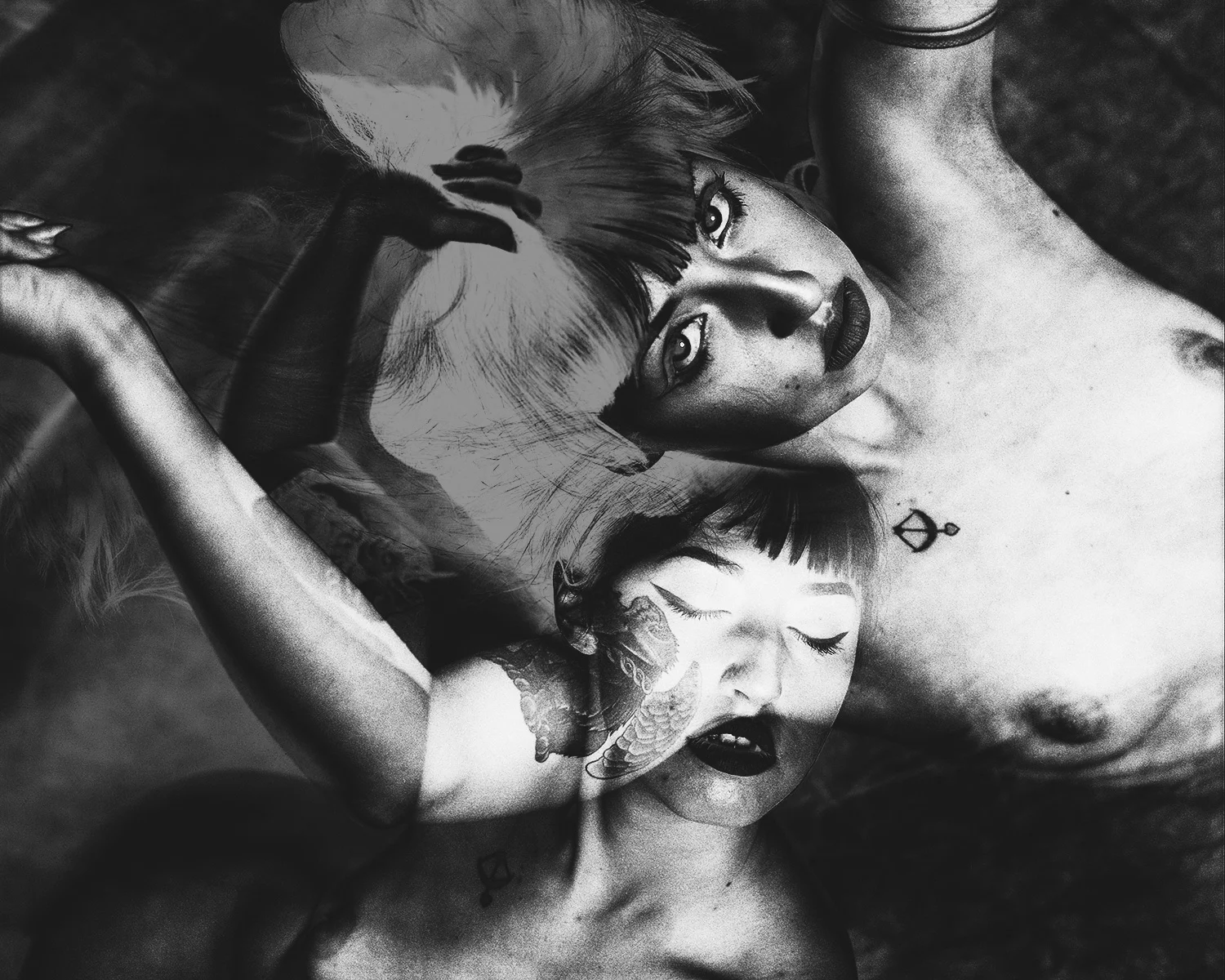 lee_fisher_tessa_bnw_solarized_02_09.jpg