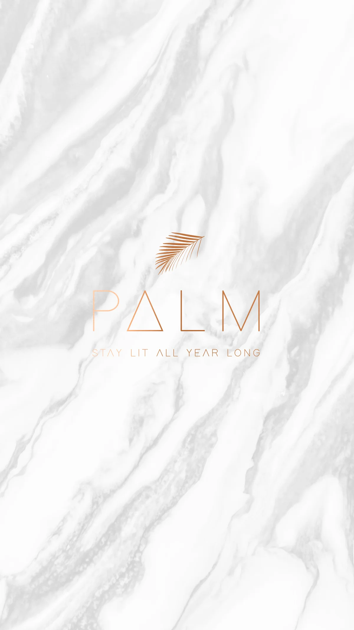 palm_logo.jpg