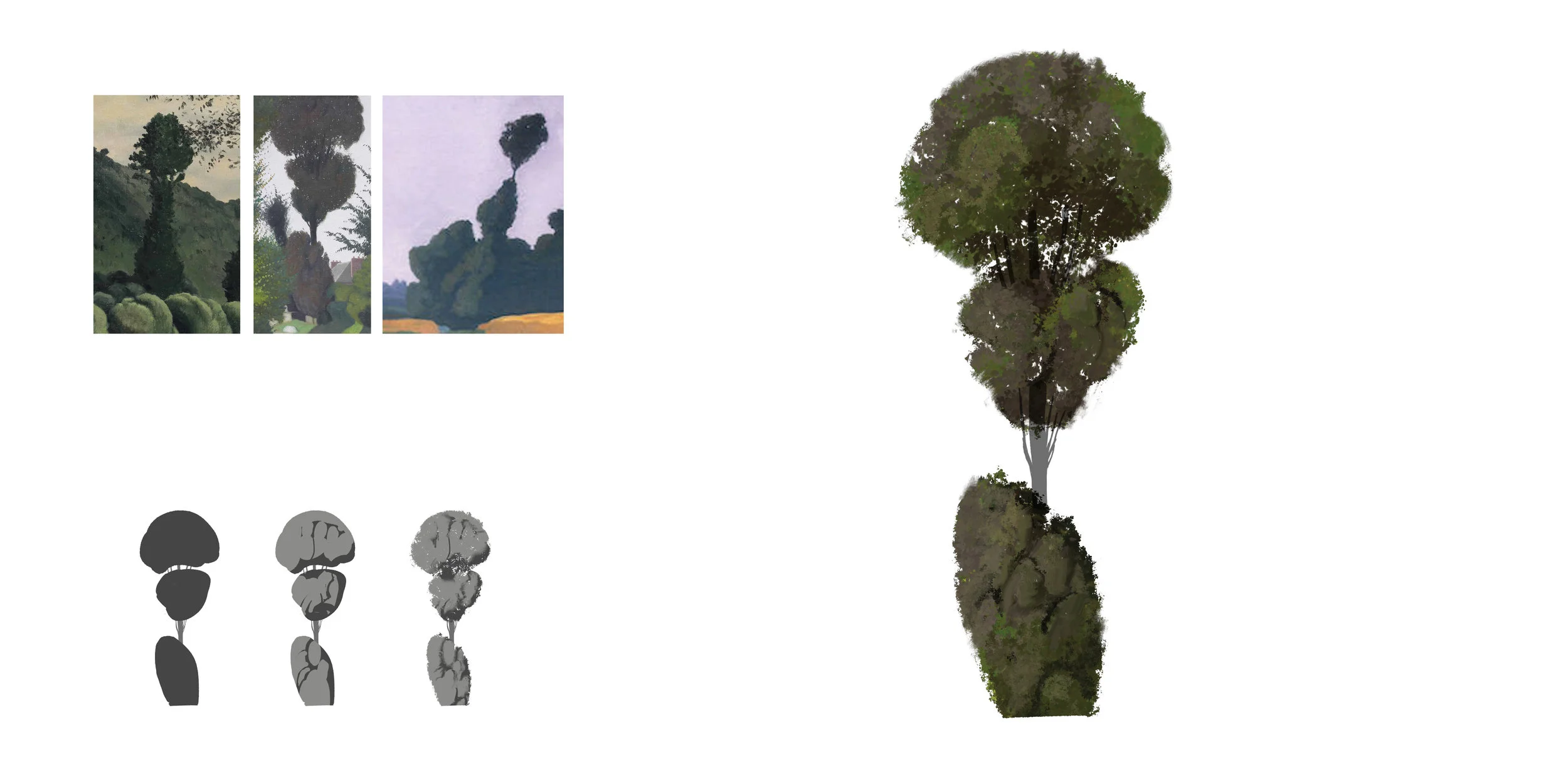 env_tree_beechB_001.jpg