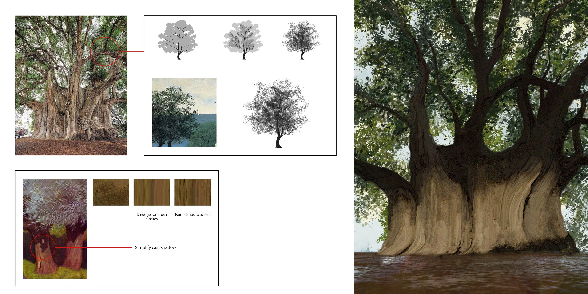 env_tree_wide_001.jpg