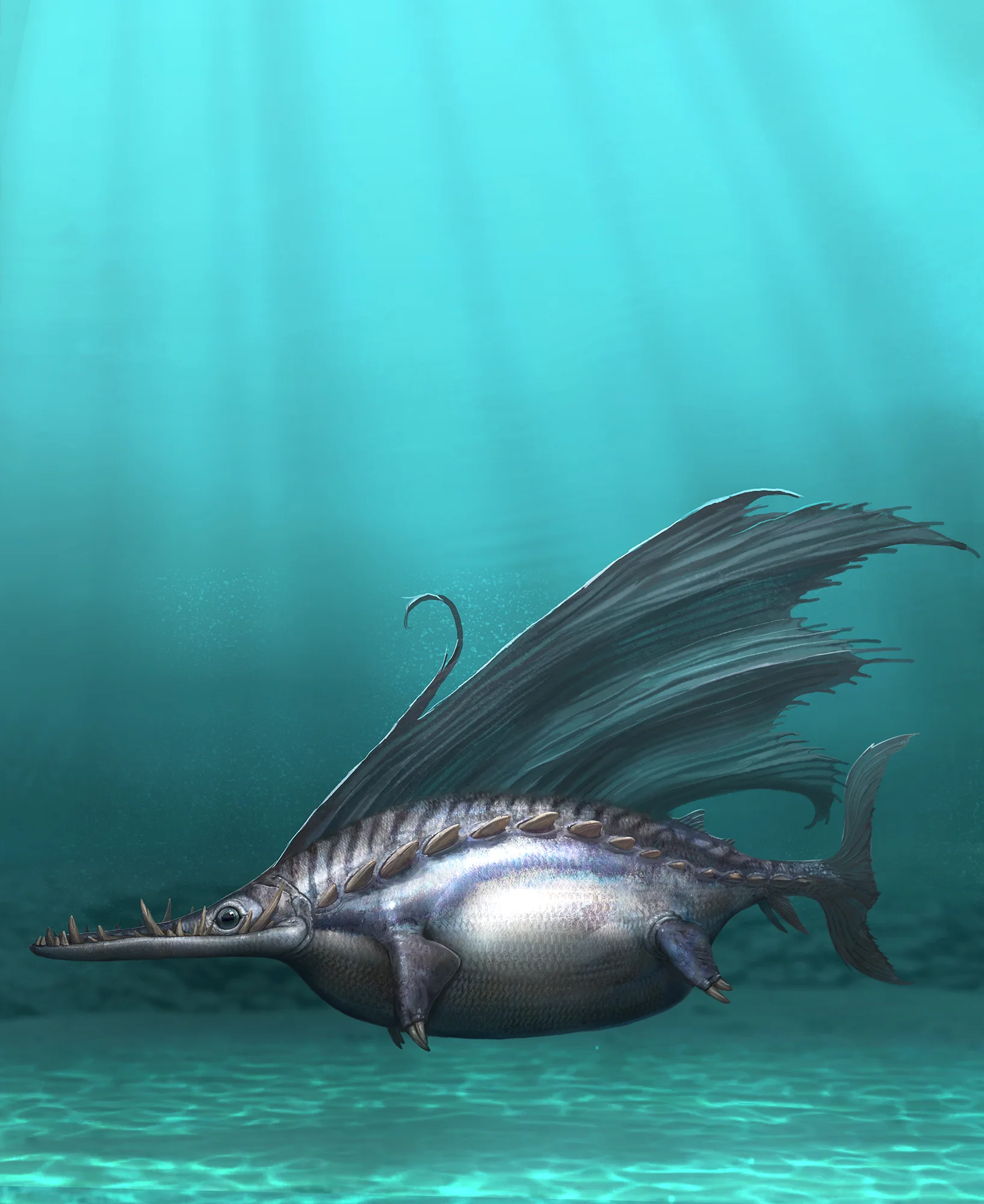 Icthysaurus_004 - Folded.jpg
