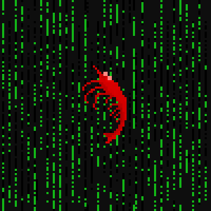 10.gif