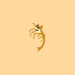 13.gif