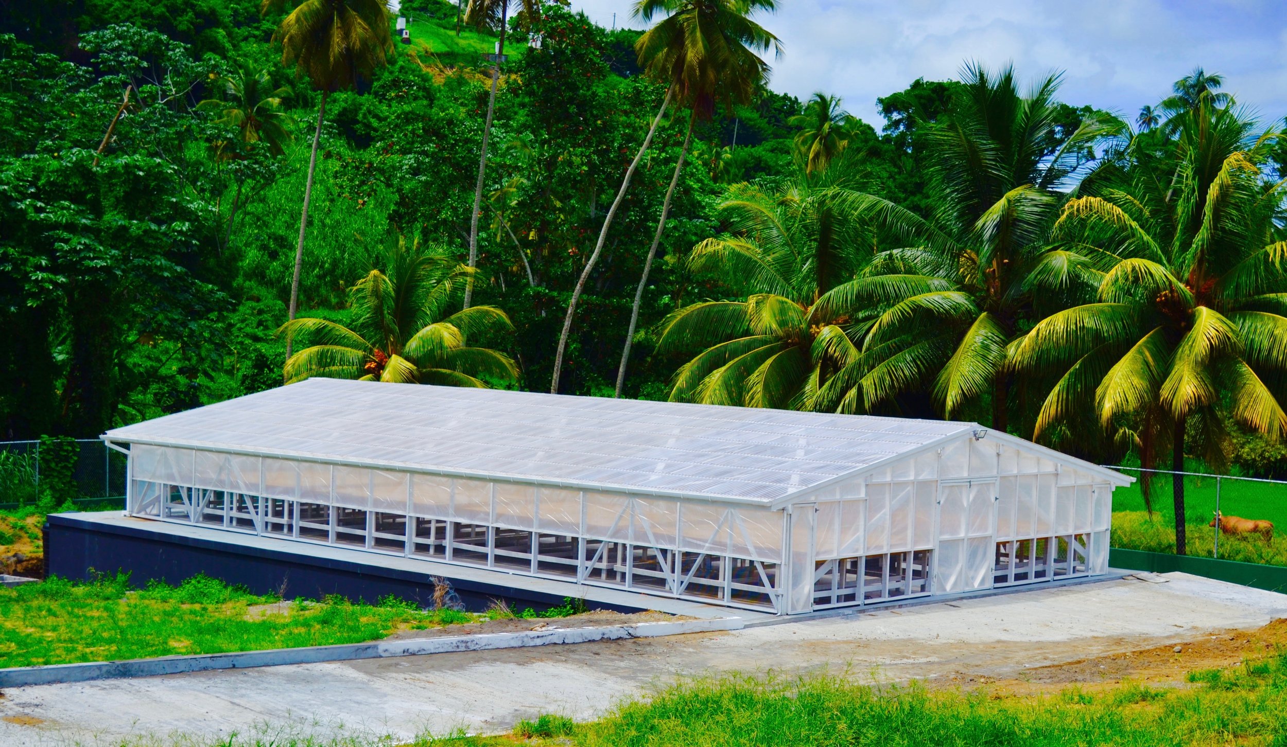 Solar Dryer