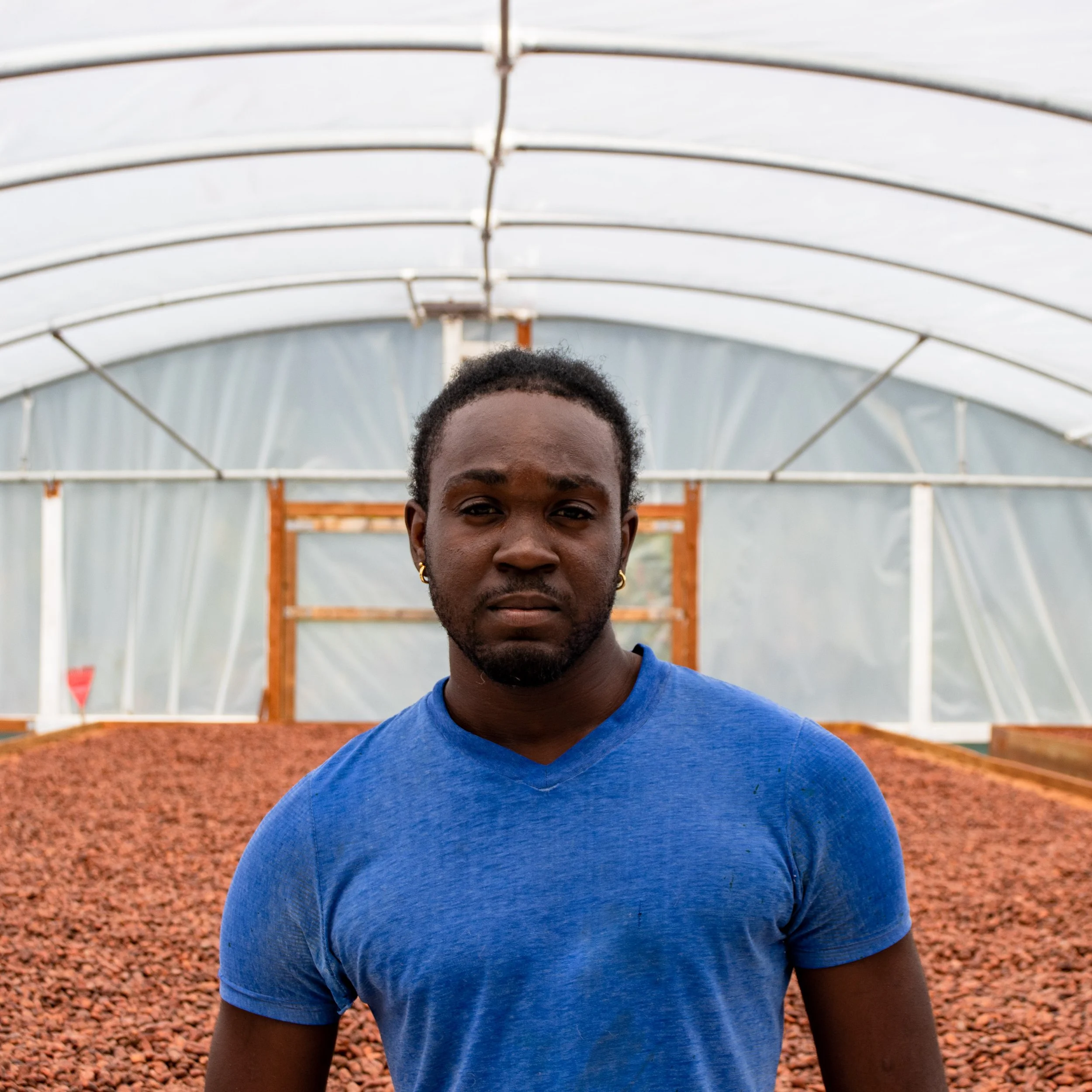 home St Vincent Cocoa Company