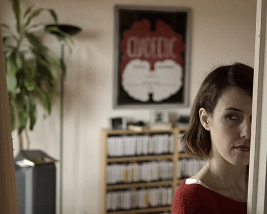 Los Campos Magnéticos