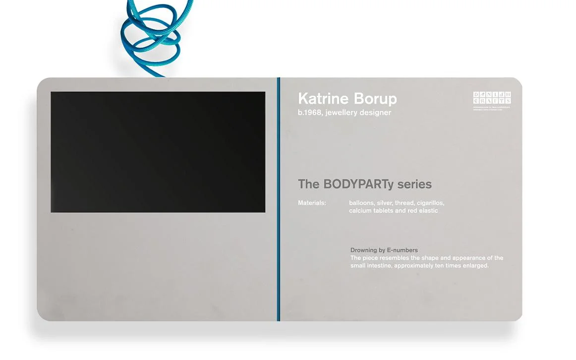 www MC13boards Rasmus.JPG