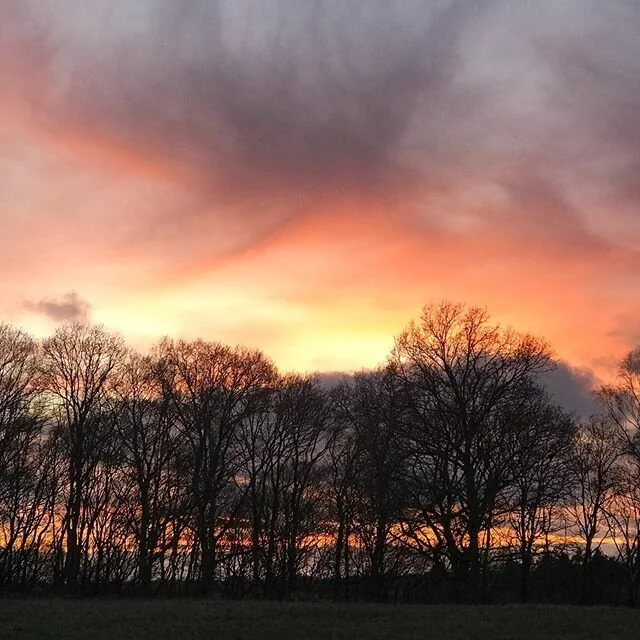 Sunset at 6pm. Treated to this view at the end of today&rsquo;s dog walk. Time to just be and saviour the moment... and plan what we would have for supper and what we need from the shops and would there be anything on the shelves anyway! .
.
.
#dogwa