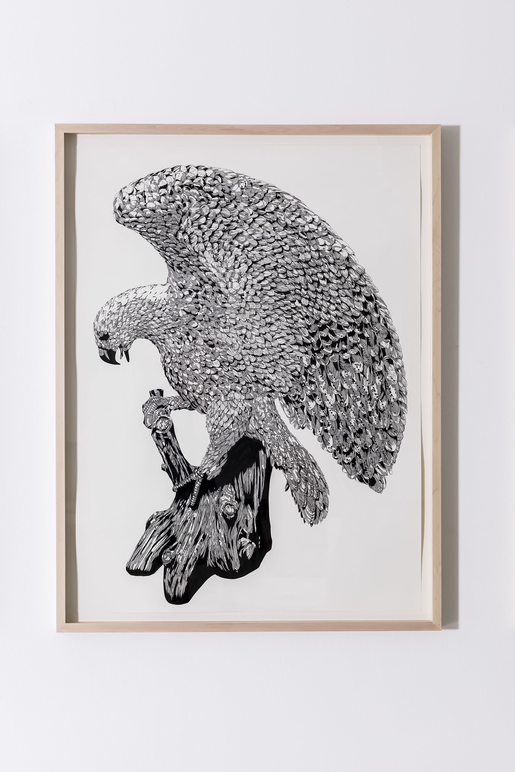 For the Phoenix 2.jpg