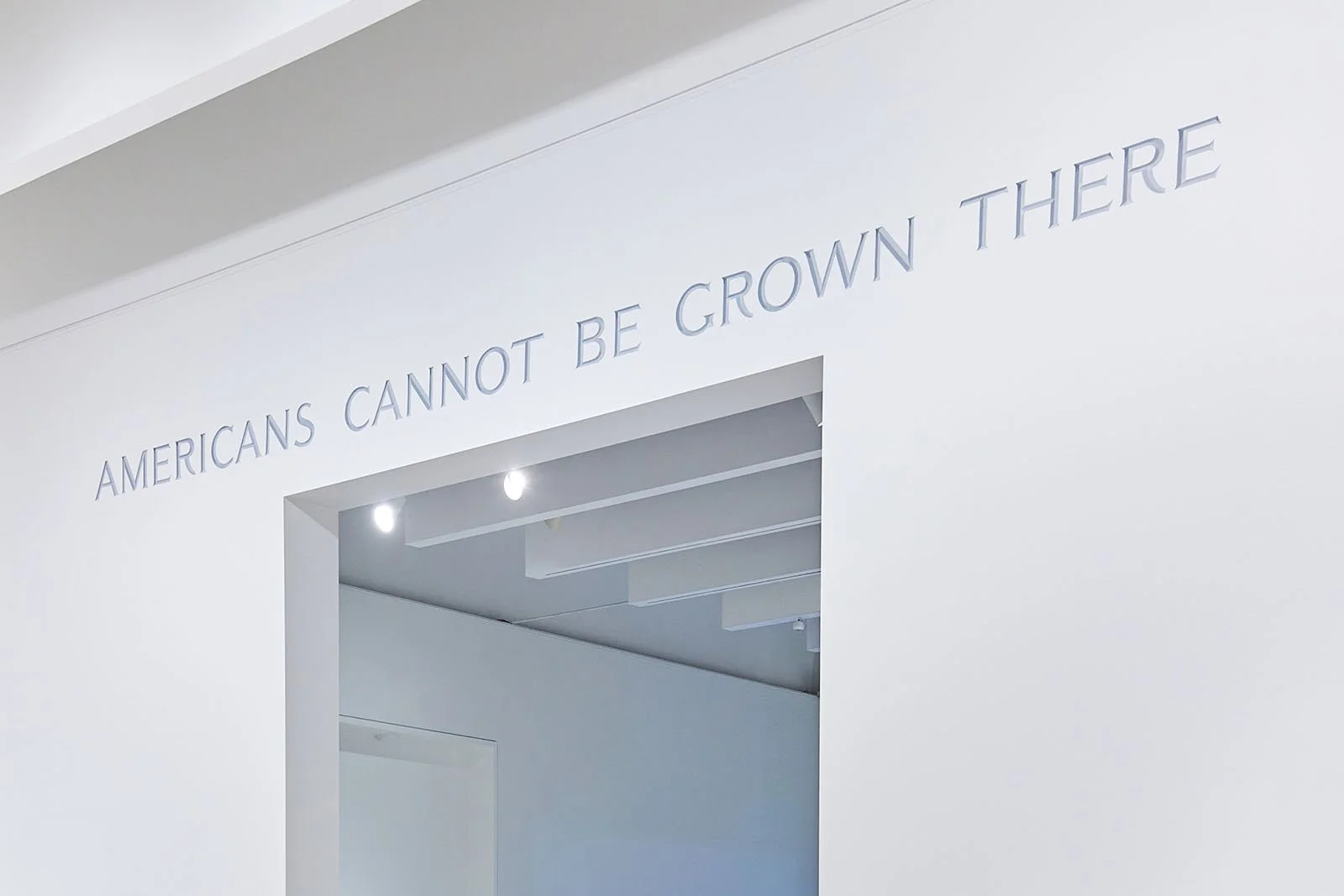 cmoa6.jpg