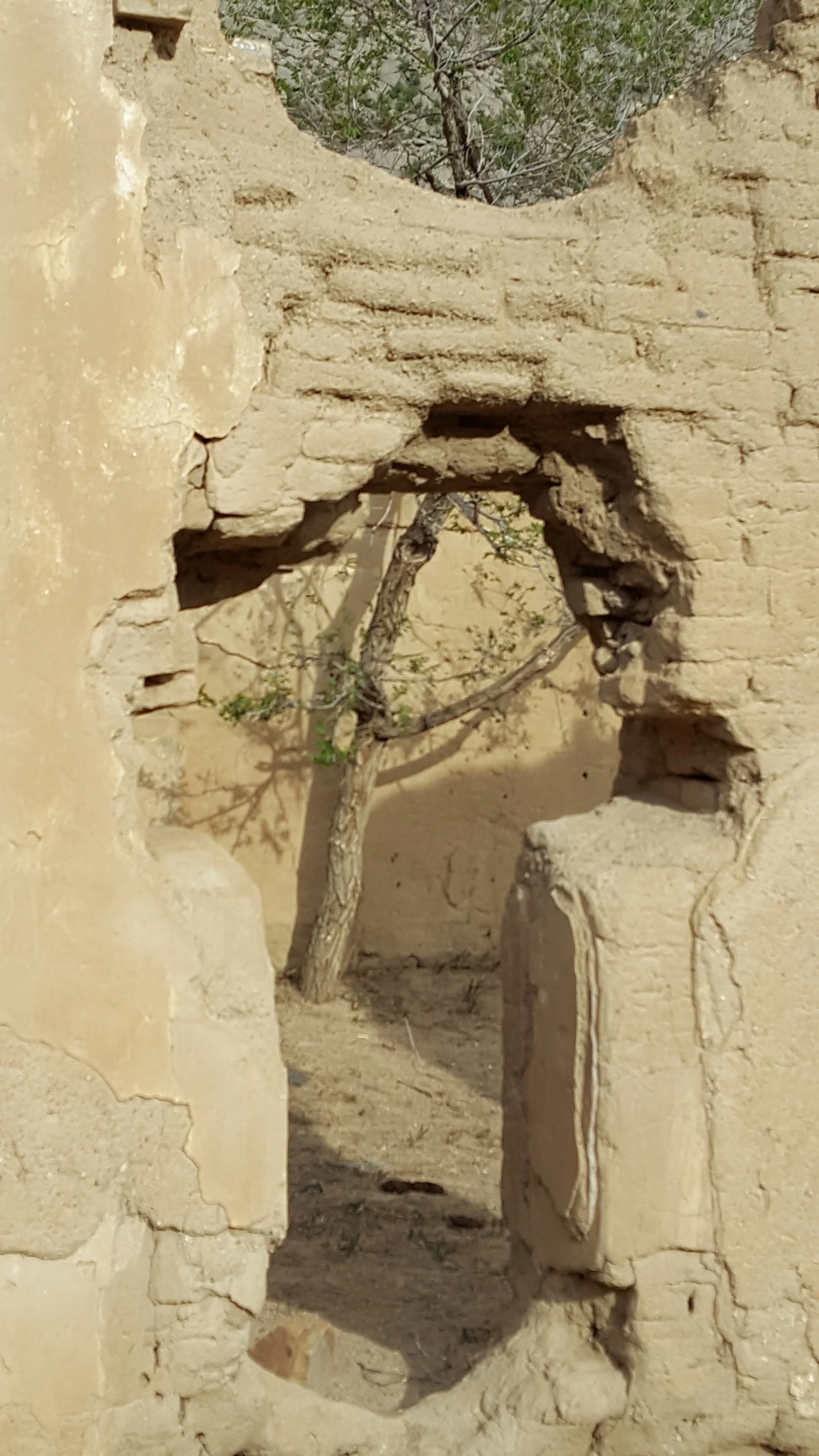 A view within the ruins